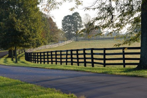Rediscovering My Childhood: An Inspirational Journey Through Equine History and Art in Kentucky