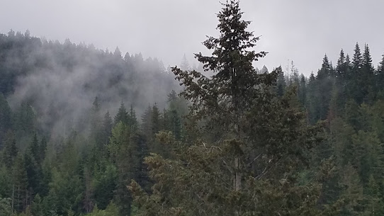  Finding Snowy River Country in Coeur d’Alene, Idaho