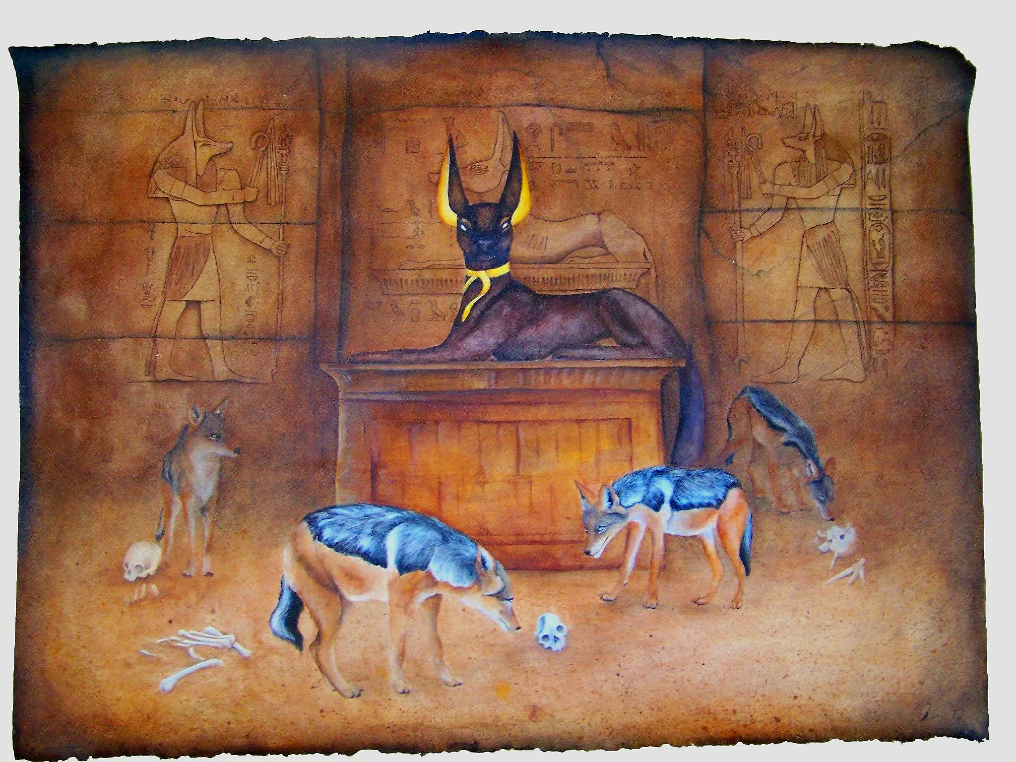 Anubis