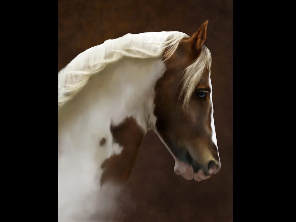 What the Mist Learns From the Earth