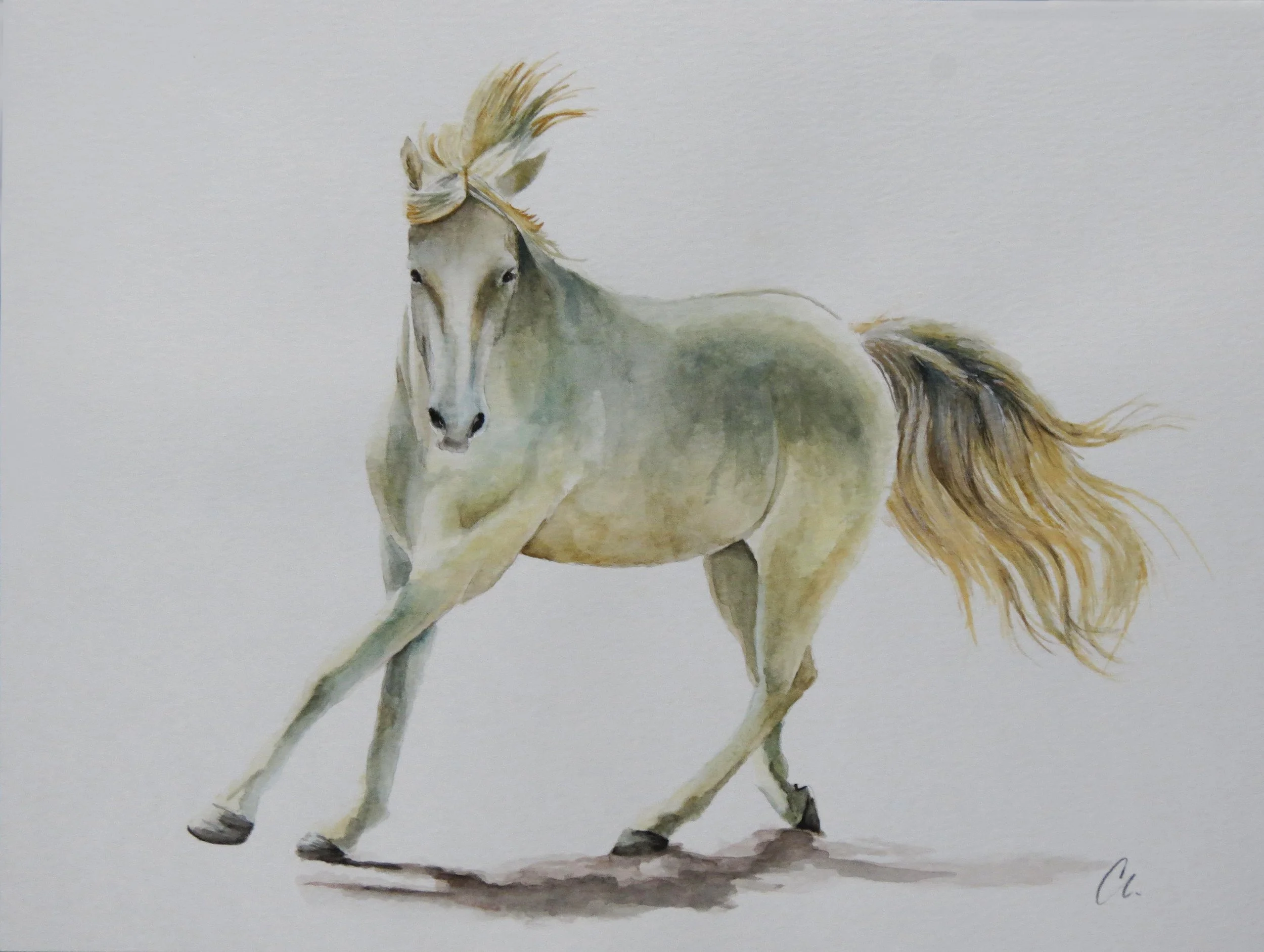 Running the Arc of the Curve