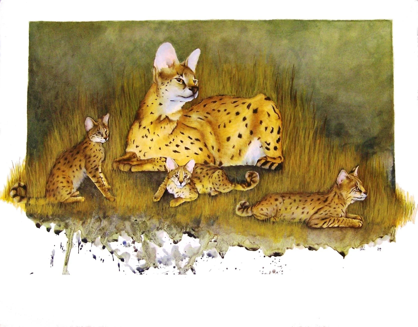 Painting of a group of cheetahs resting in tall grass, with one adult cheetah lying down and four cubs in various positions.
