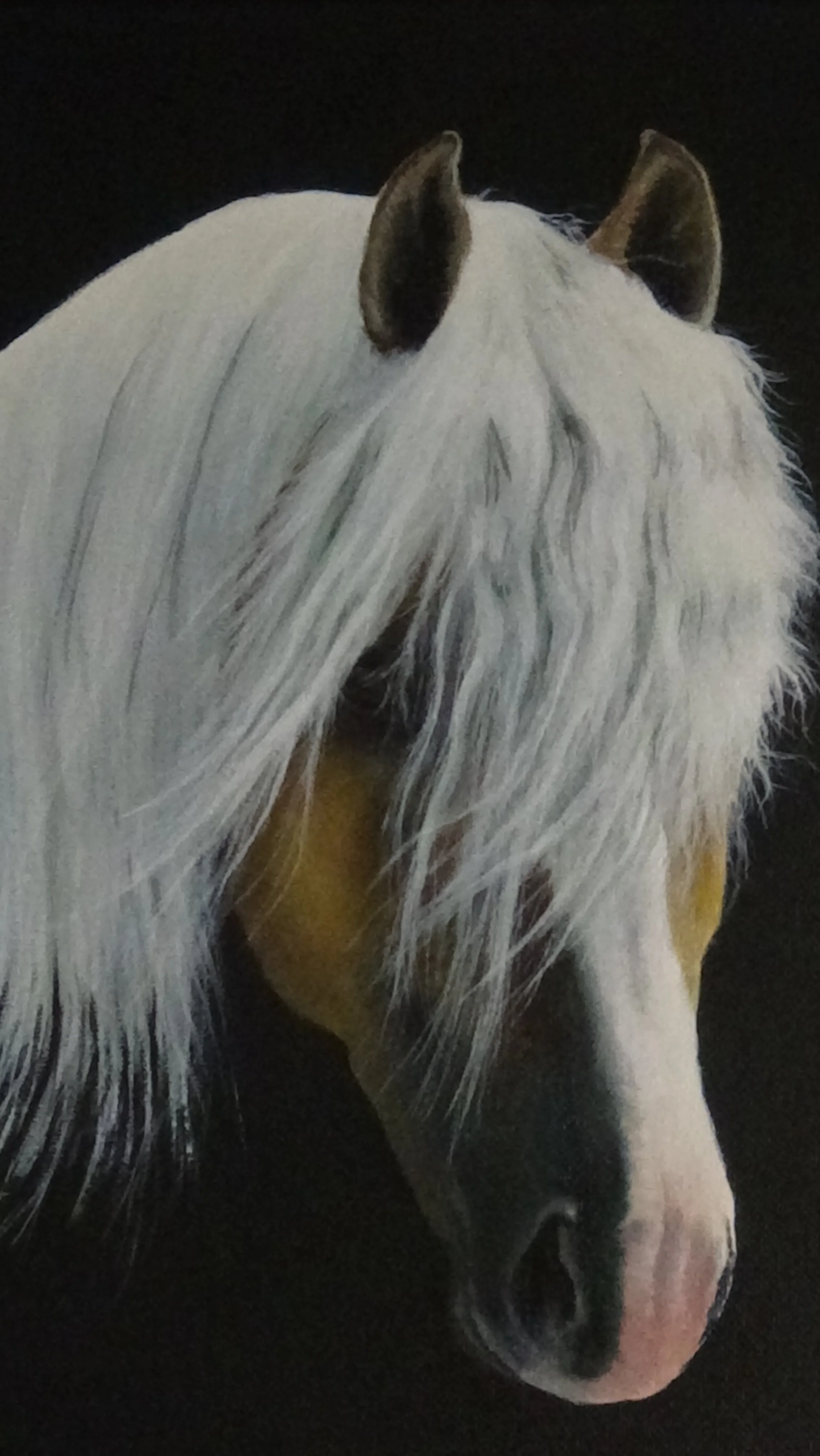 White‑Gold Filigree of the Windborne