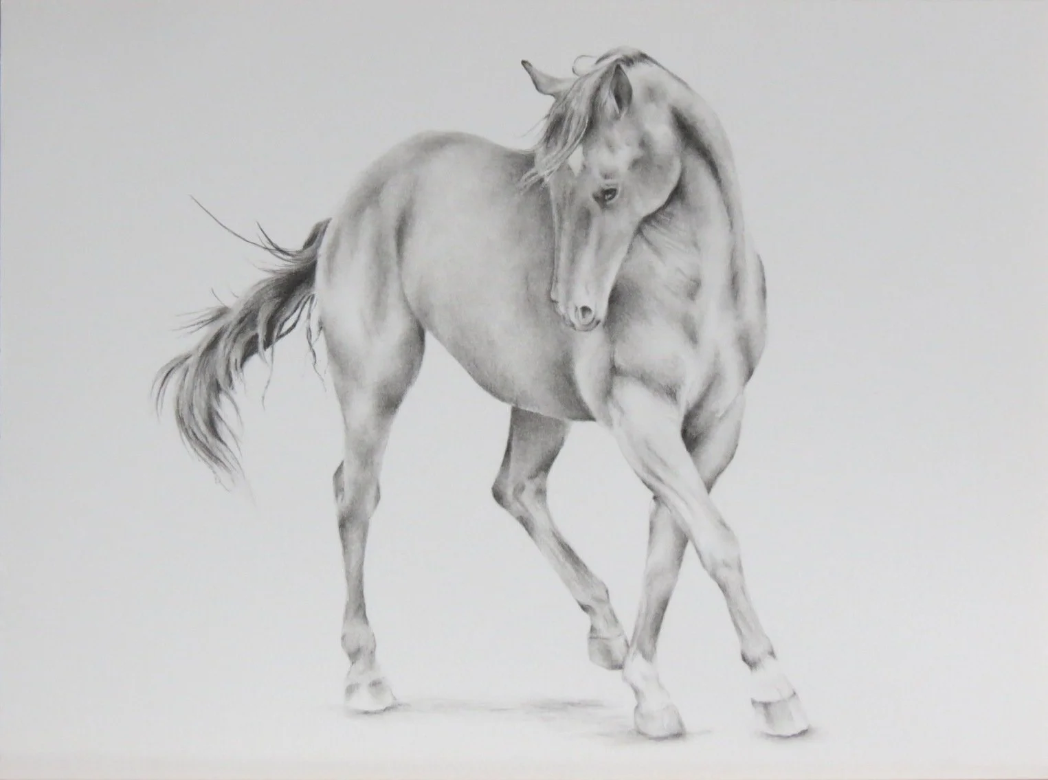 Learning the Shape of Motion