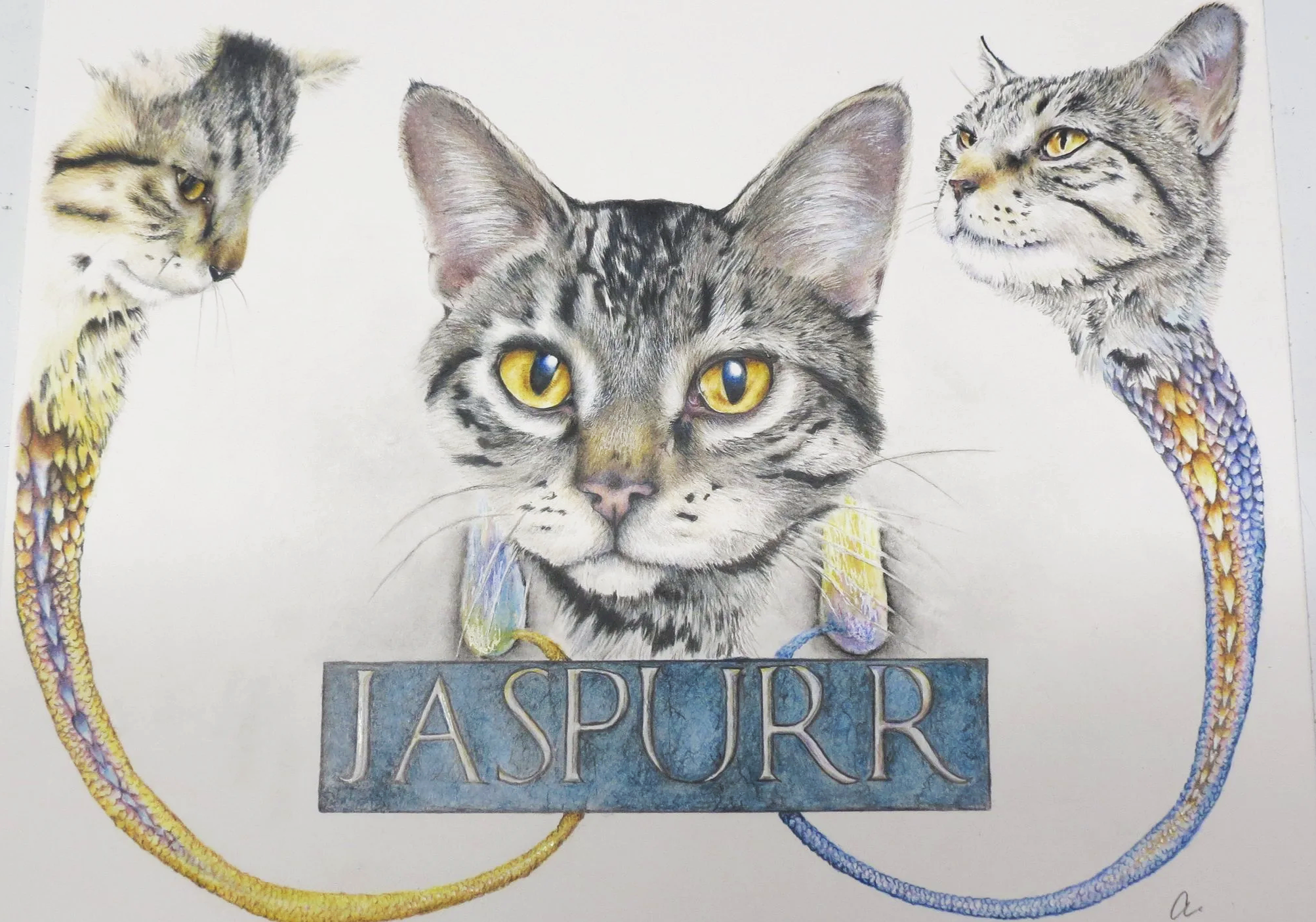 Drawing of a central tabby cat with two side cats, one on the left and one on the right, and the word 'JASPURR' below on a blue sign.