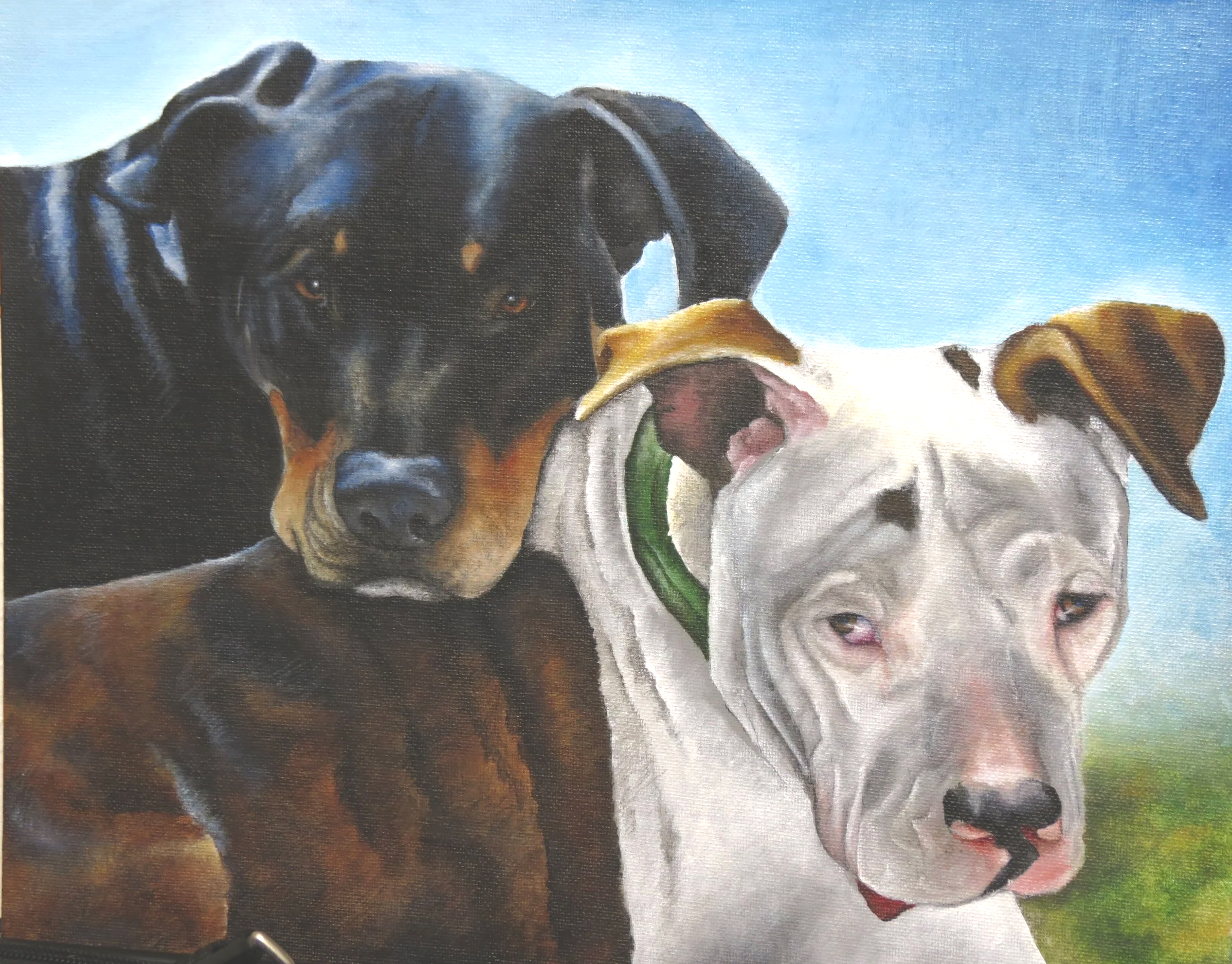 Not all dogs are of a pedigree. Some are rescued from cruel conditions and are forever grateful for their new found life. Owner Dave Abbott.