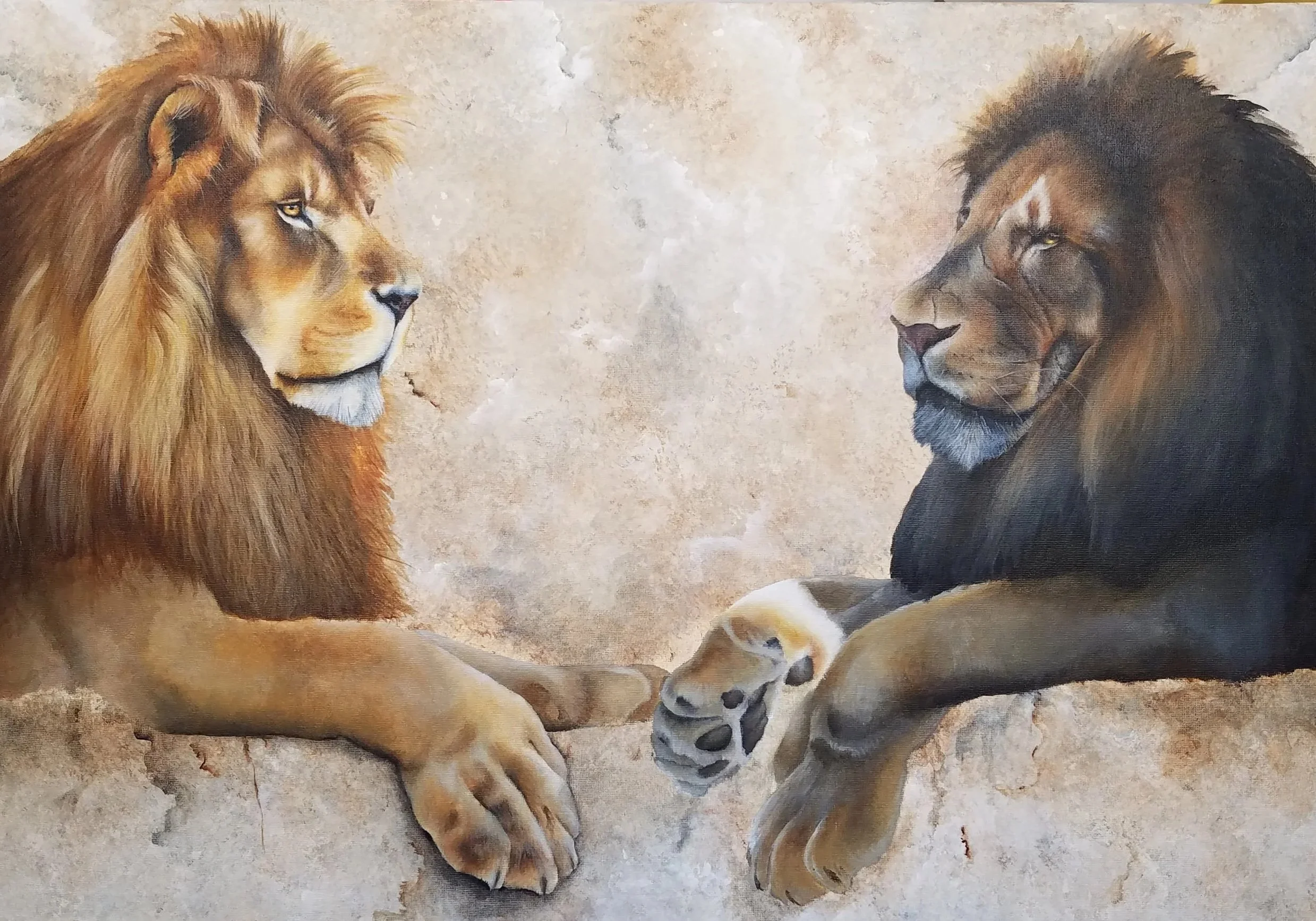 The Measure of Light, the Weight of Shadow