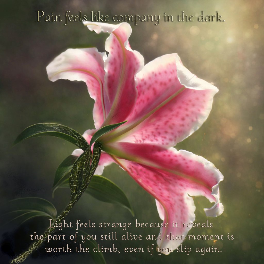Lily 3x3 card with words copy.jpg
