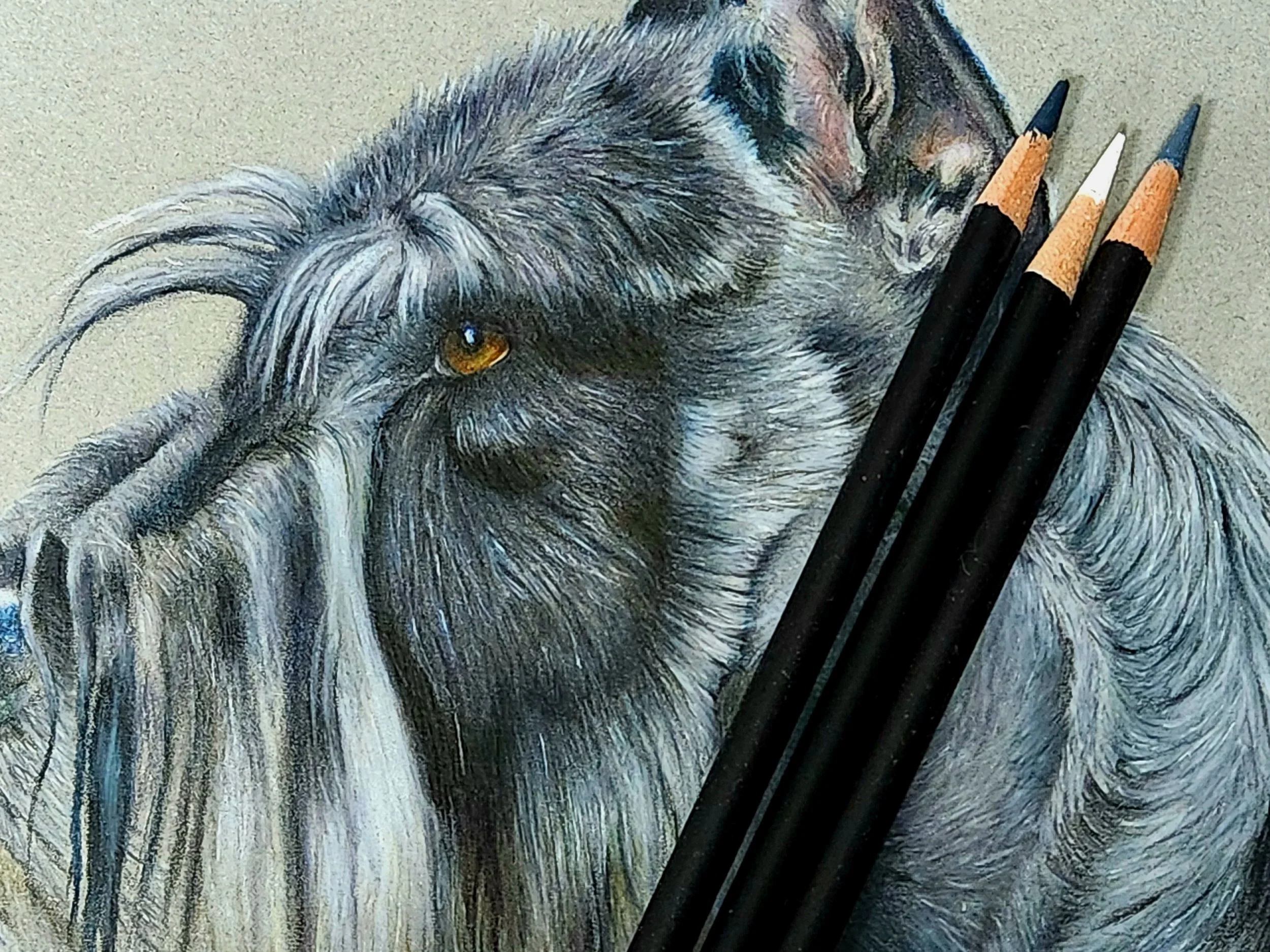 A detailed colored pencil drawing of a thoughtful dog resting its head on a surface, with three colored pencils laying on it.