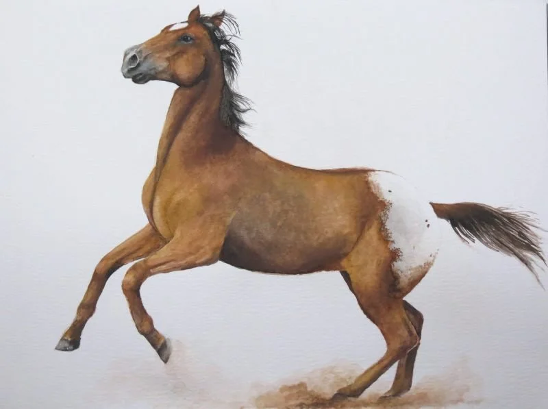 The One Who Runs With What Remains