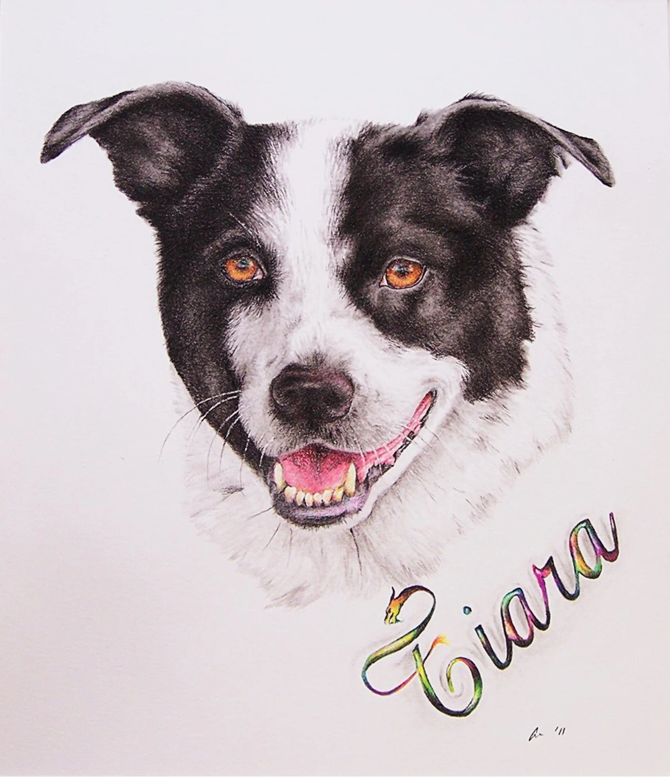 Drawing of a happy black and white dog with amber eyes, with a multicolored handwritten name 'Gianna' below.