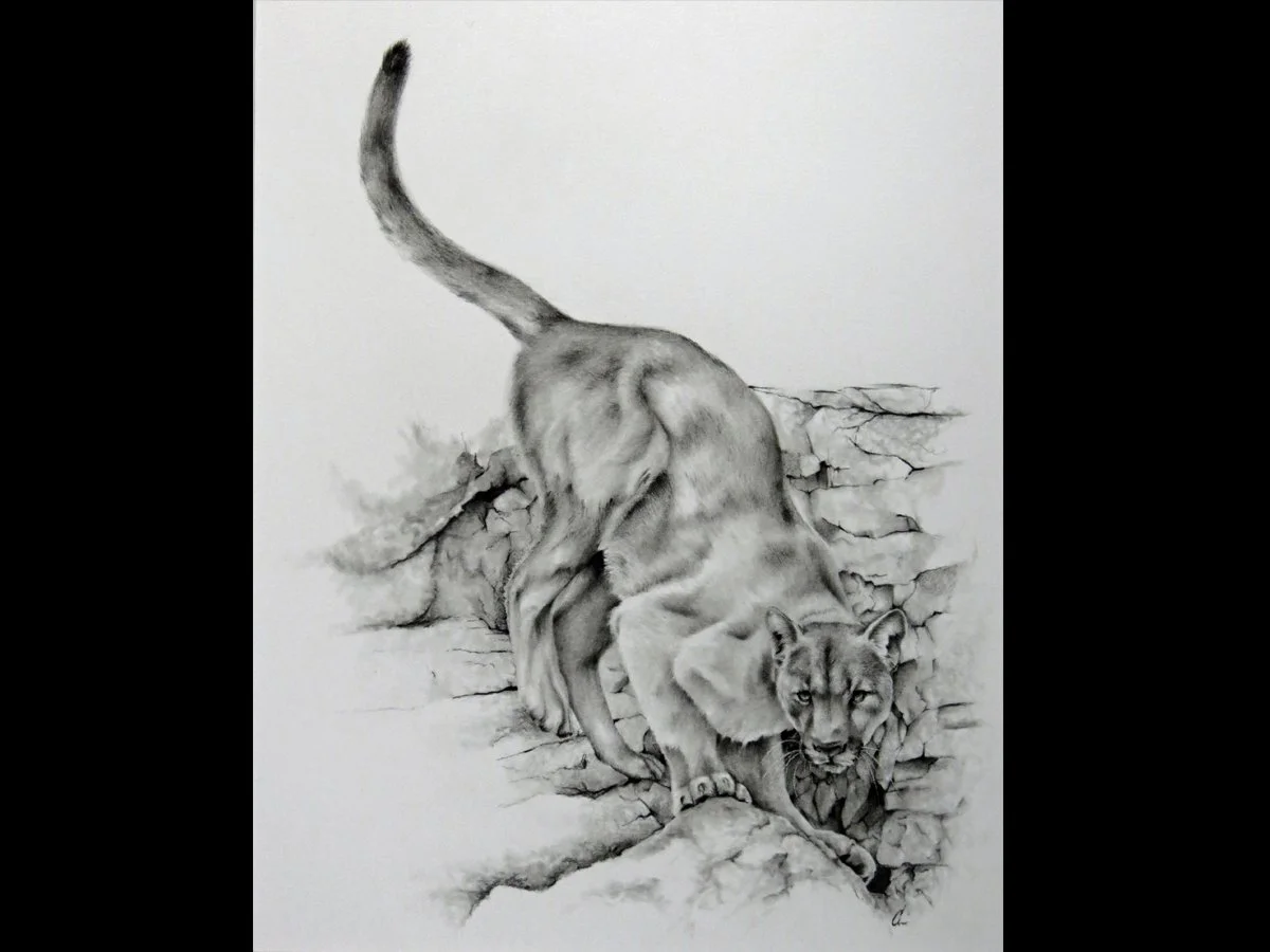 She Who Haunts the High Country