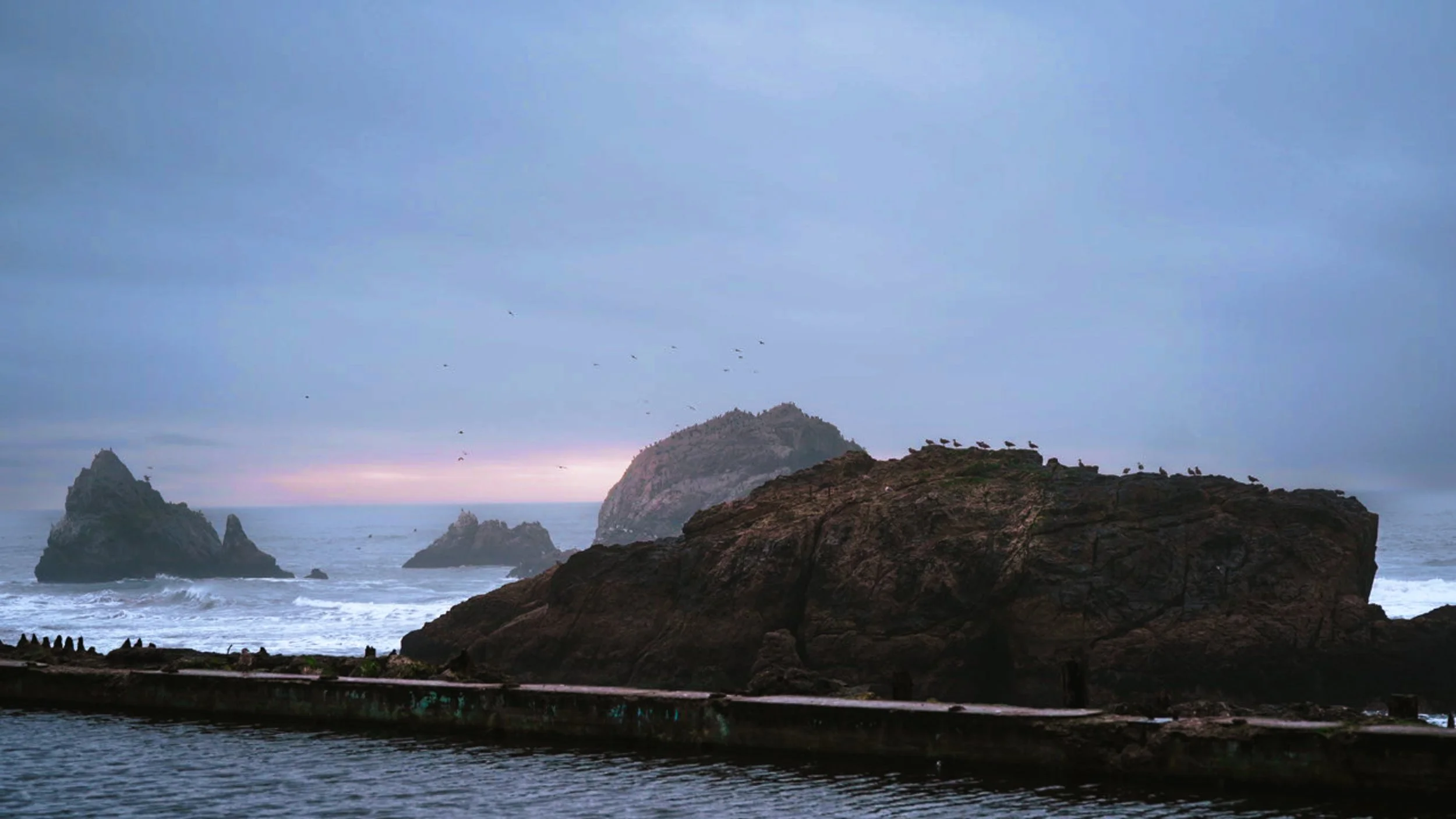 Lei.Photography.Co-Jake ReEdit2-15.jpg