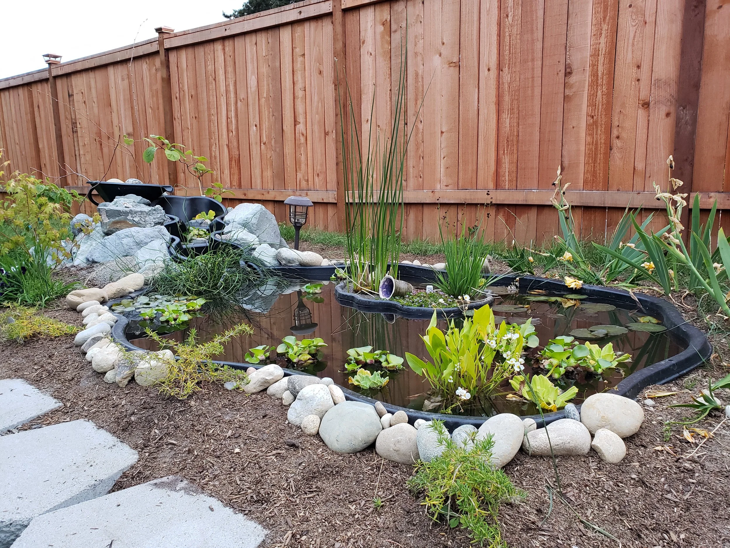 A new pond using preformed shells with a short water course planted with a mix of native and non-invasive aquatic plants.
