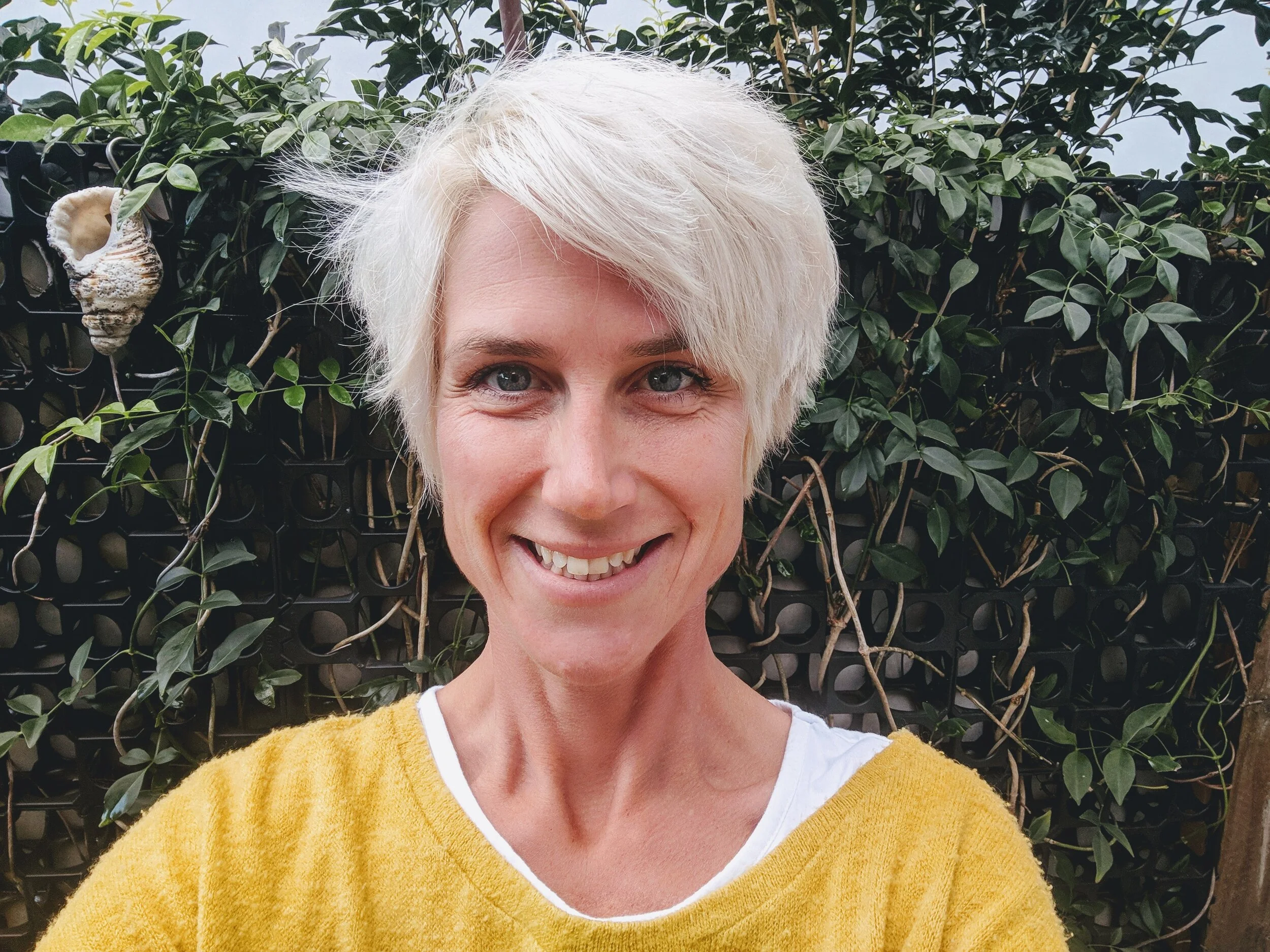 HOW DO I ORGANISE A BUILDING AND PEST INSPECTION?