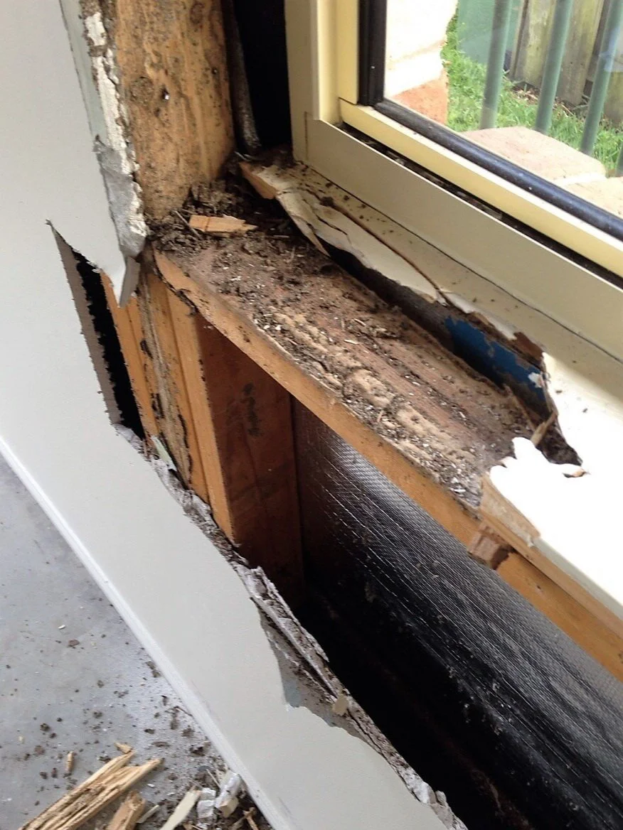 Timber pest inspection