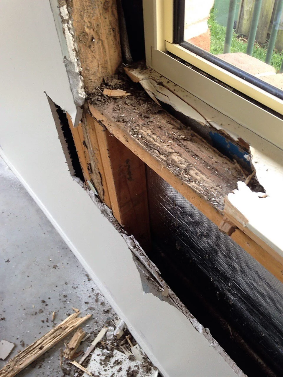 THINK YOU HAVE TERMITES? IT'S TIME FOR A TIMBER PEST INSPECTION!