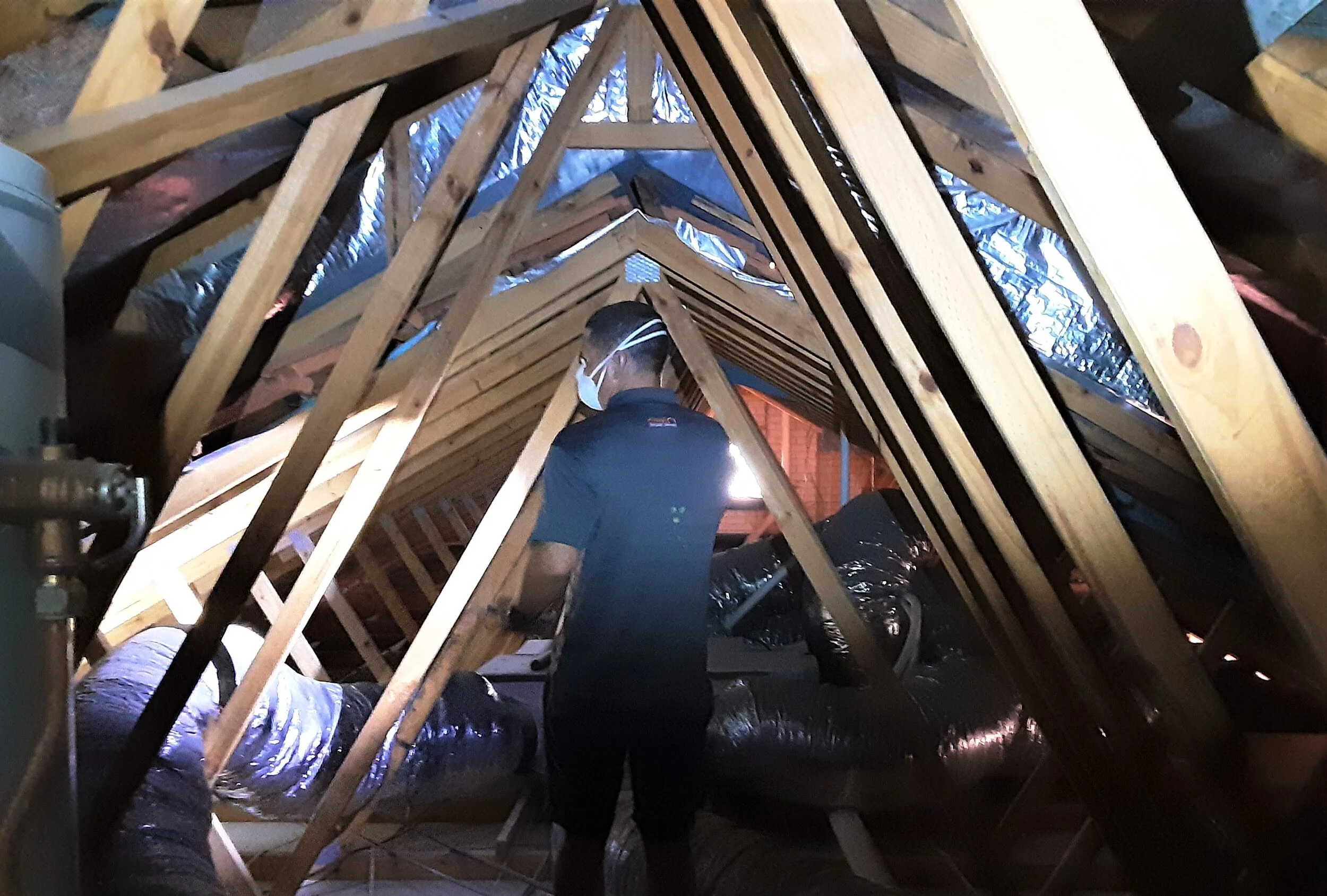 building and pest inspection gold coast