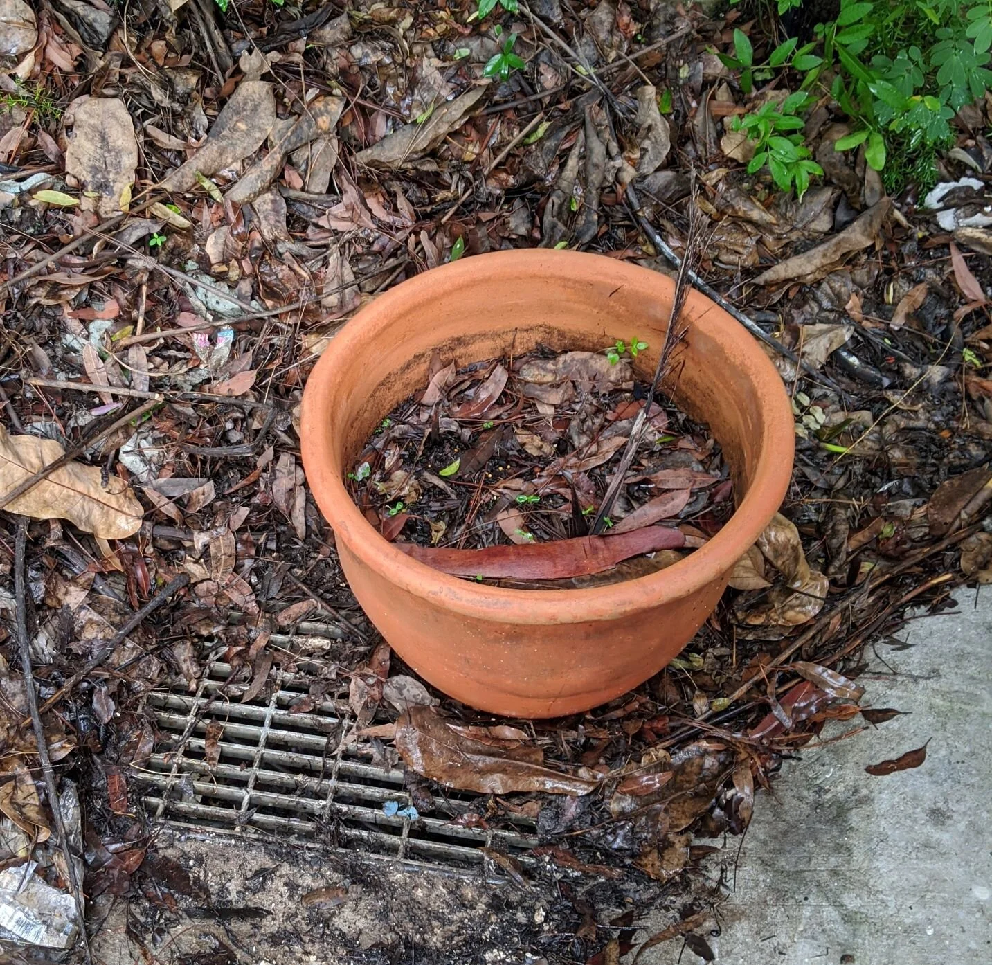 HOME MAINTENANCE MADE EASY - THE SITE