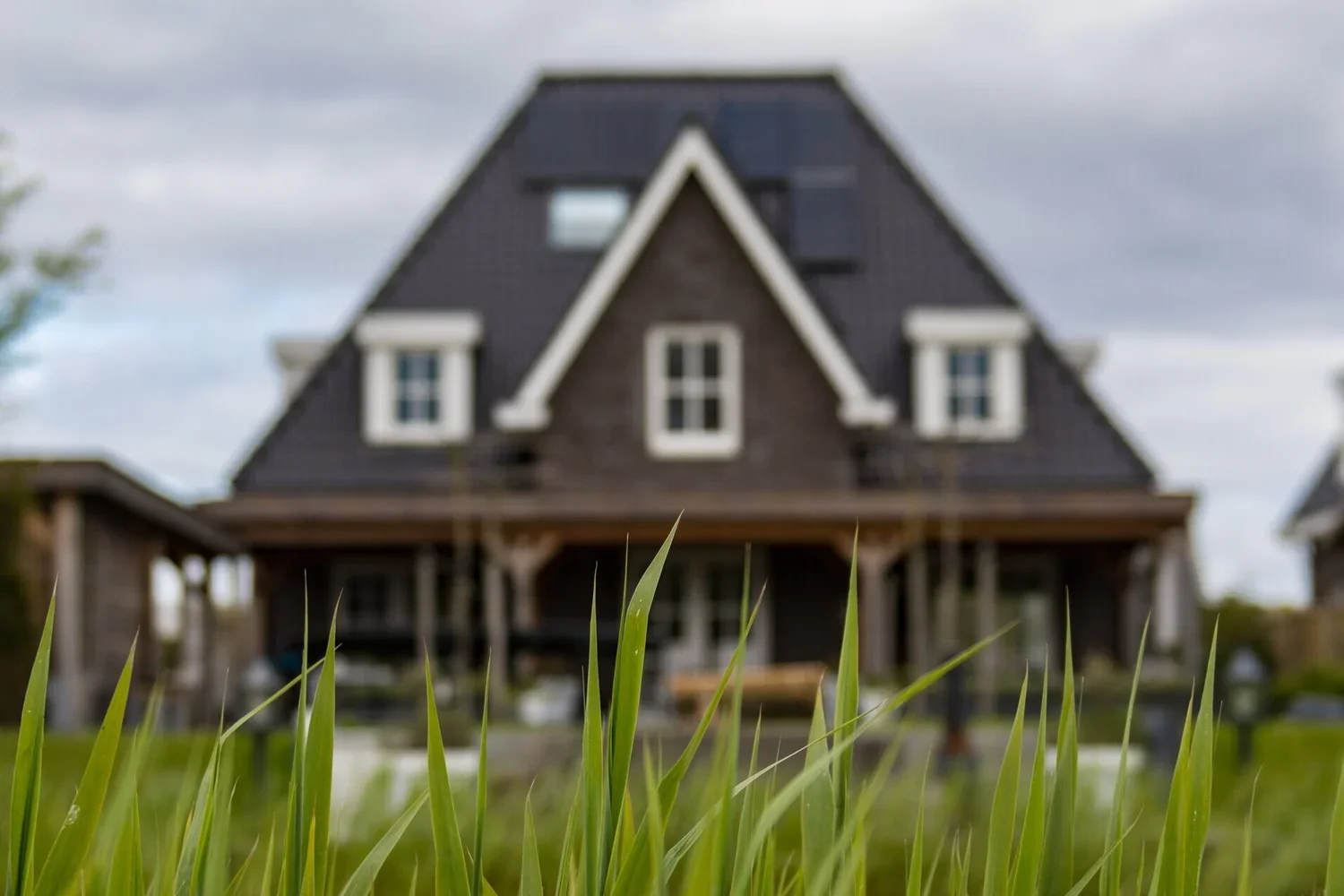 BEWARE THE LONE BUILDING AND PEST INSPECTOR