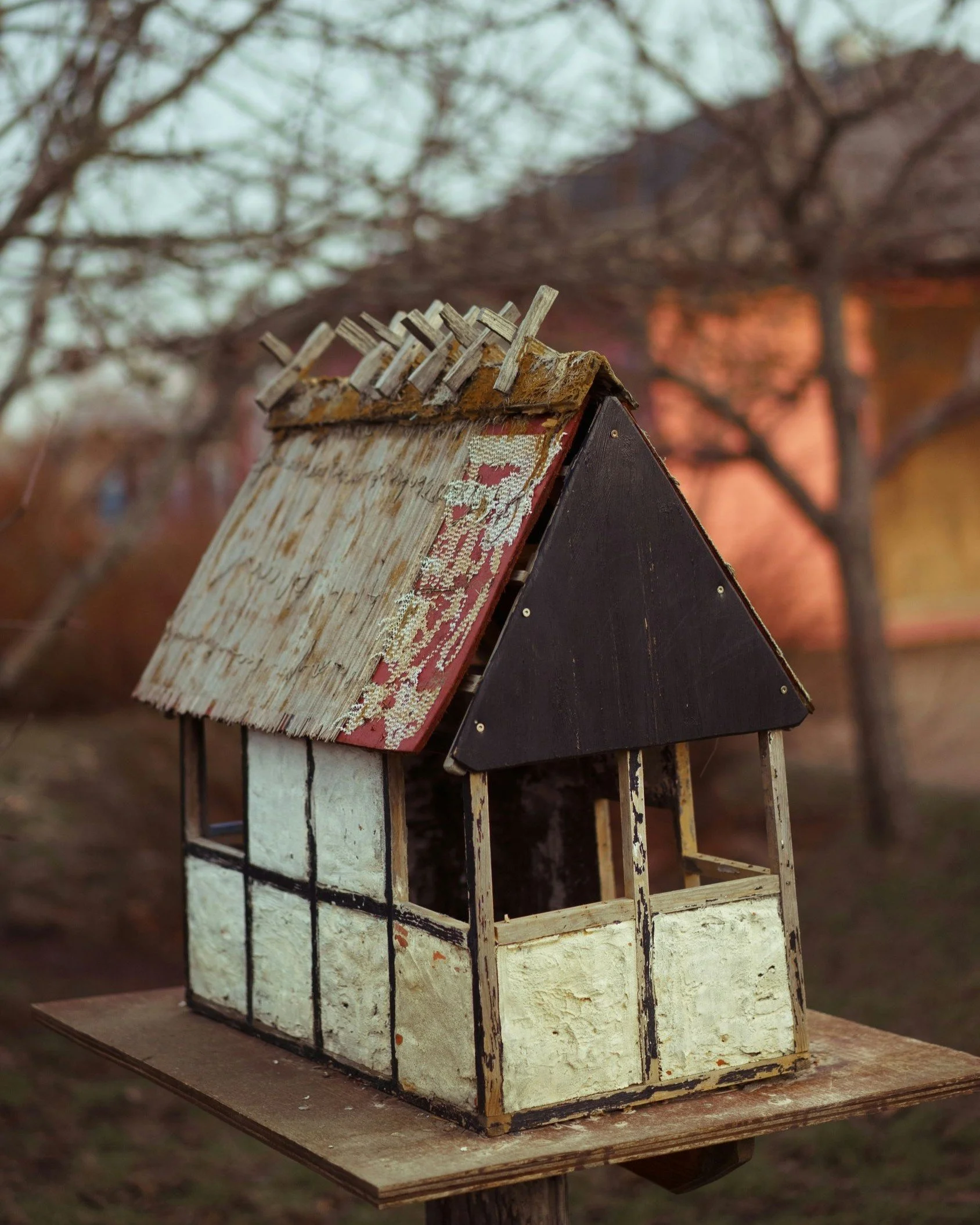 WHAT DOES A BUILDING AND PEST INSPECTION ACTUALLY COVER?