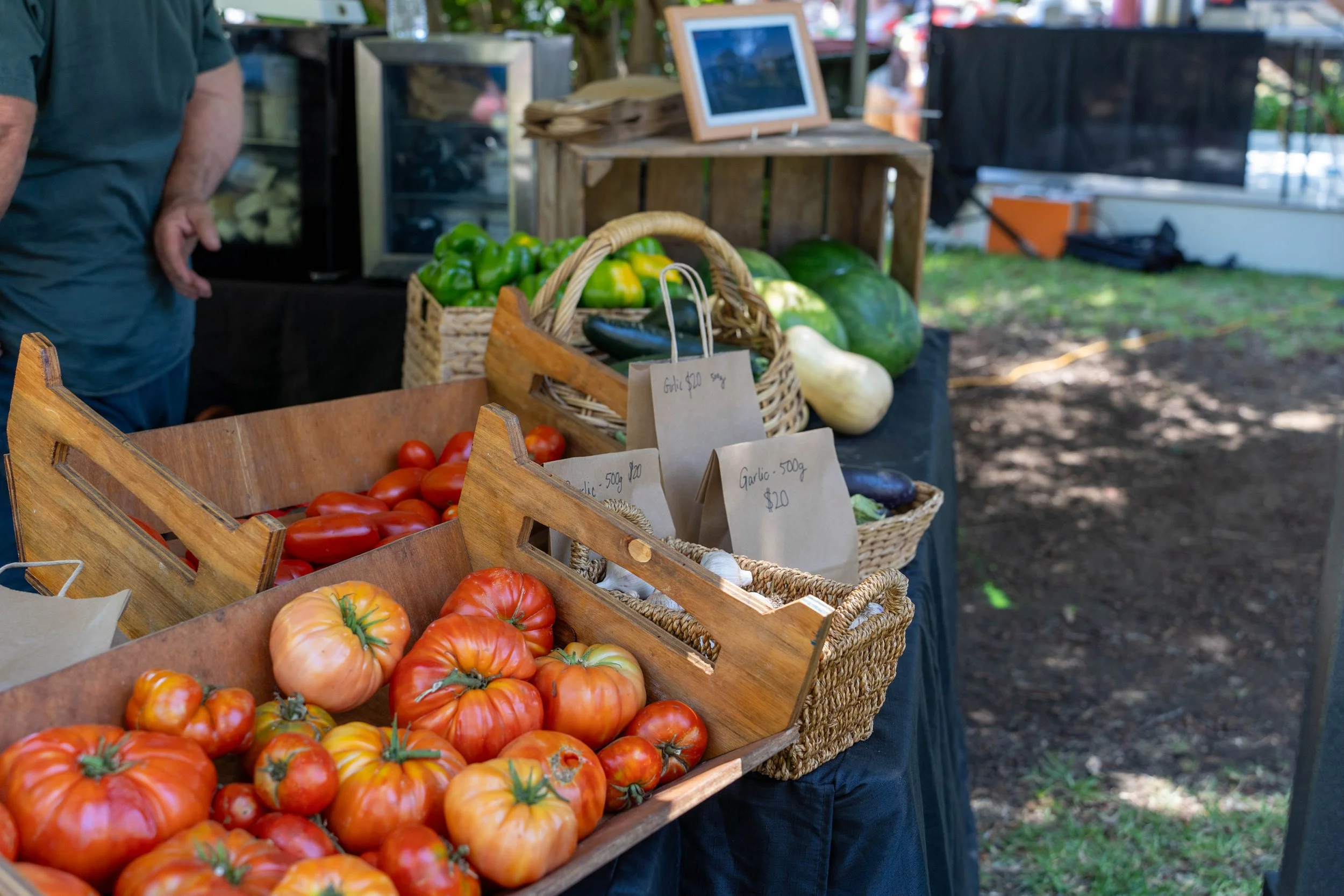 A farmer's market stall with tomatoes, zucchini, and green peppers on display.
