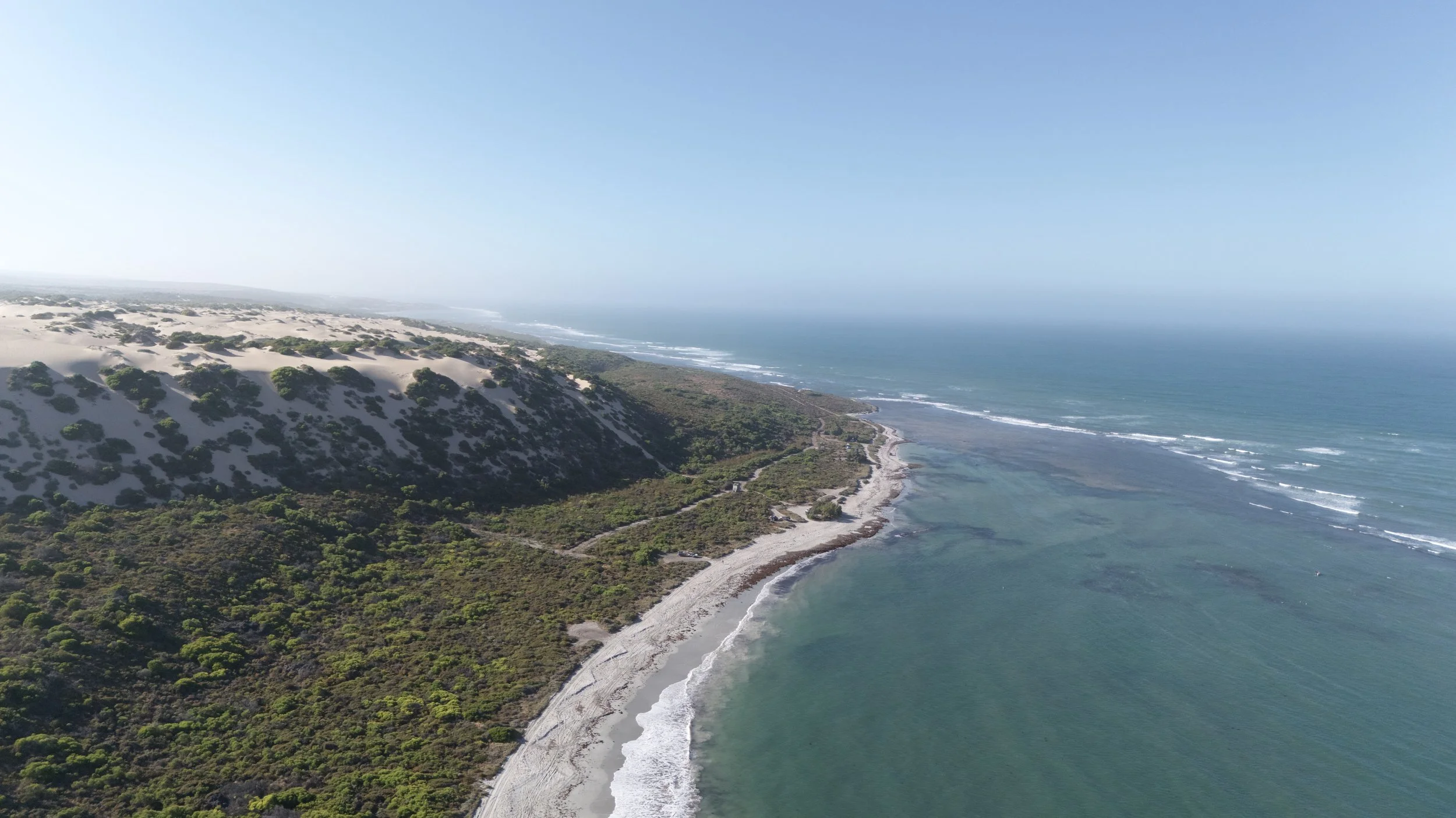 Aerial view of a coastline with sandy beaches, green vegetation, and sand dunes along the ocean.