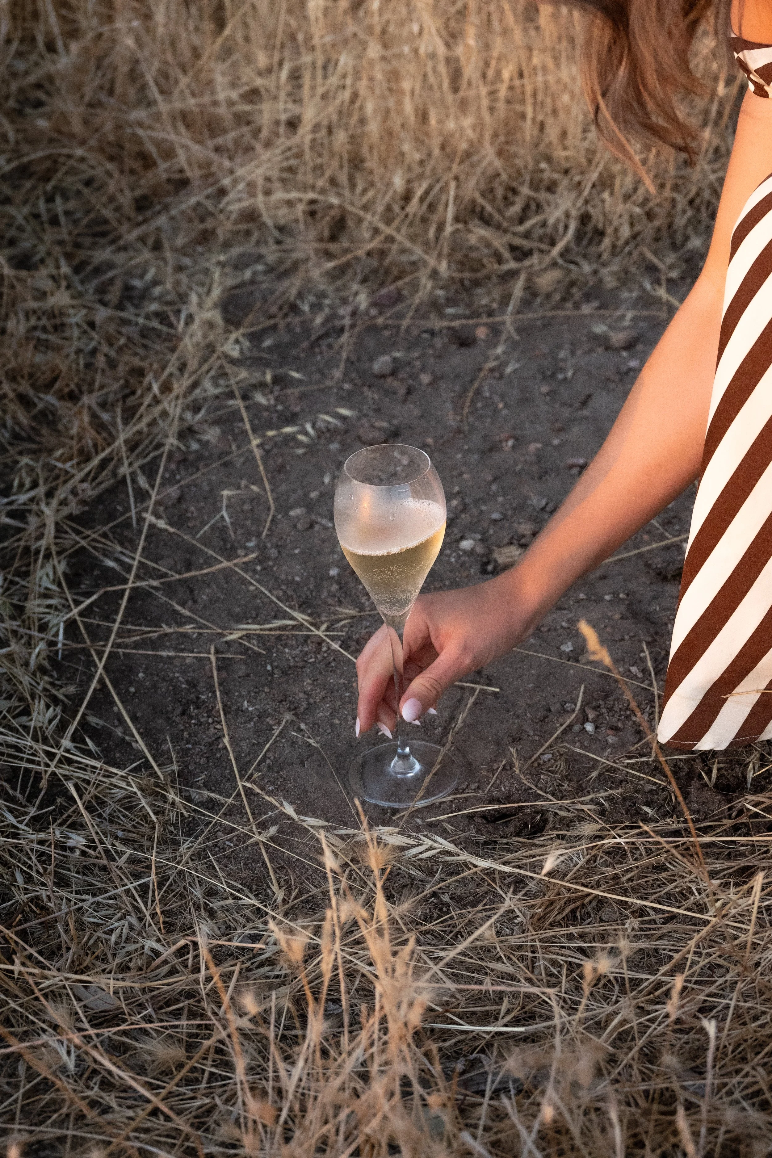 A person in a brown and white striped dress holding a glass of champagne while kneeling on dry grass and dirt.