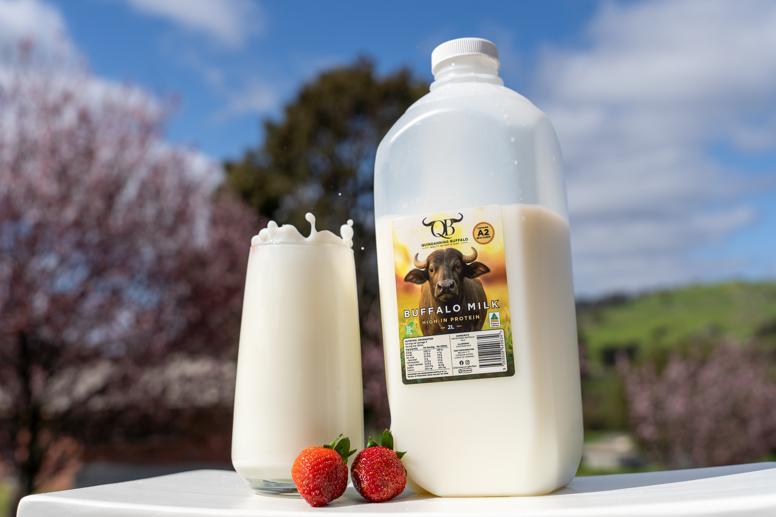 Milk shoot-5.png