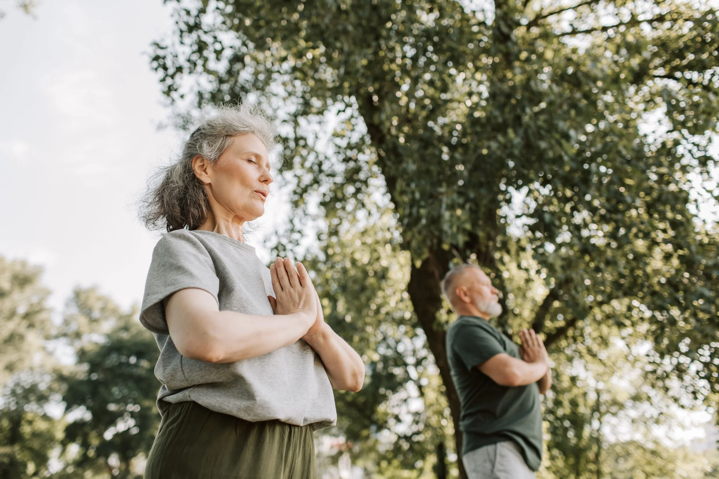 Three elderly people practicing meditation outdoors in a park, standing with eyes closed, hands together in prayer position, under trees with sunlight filtering through the leaves.
