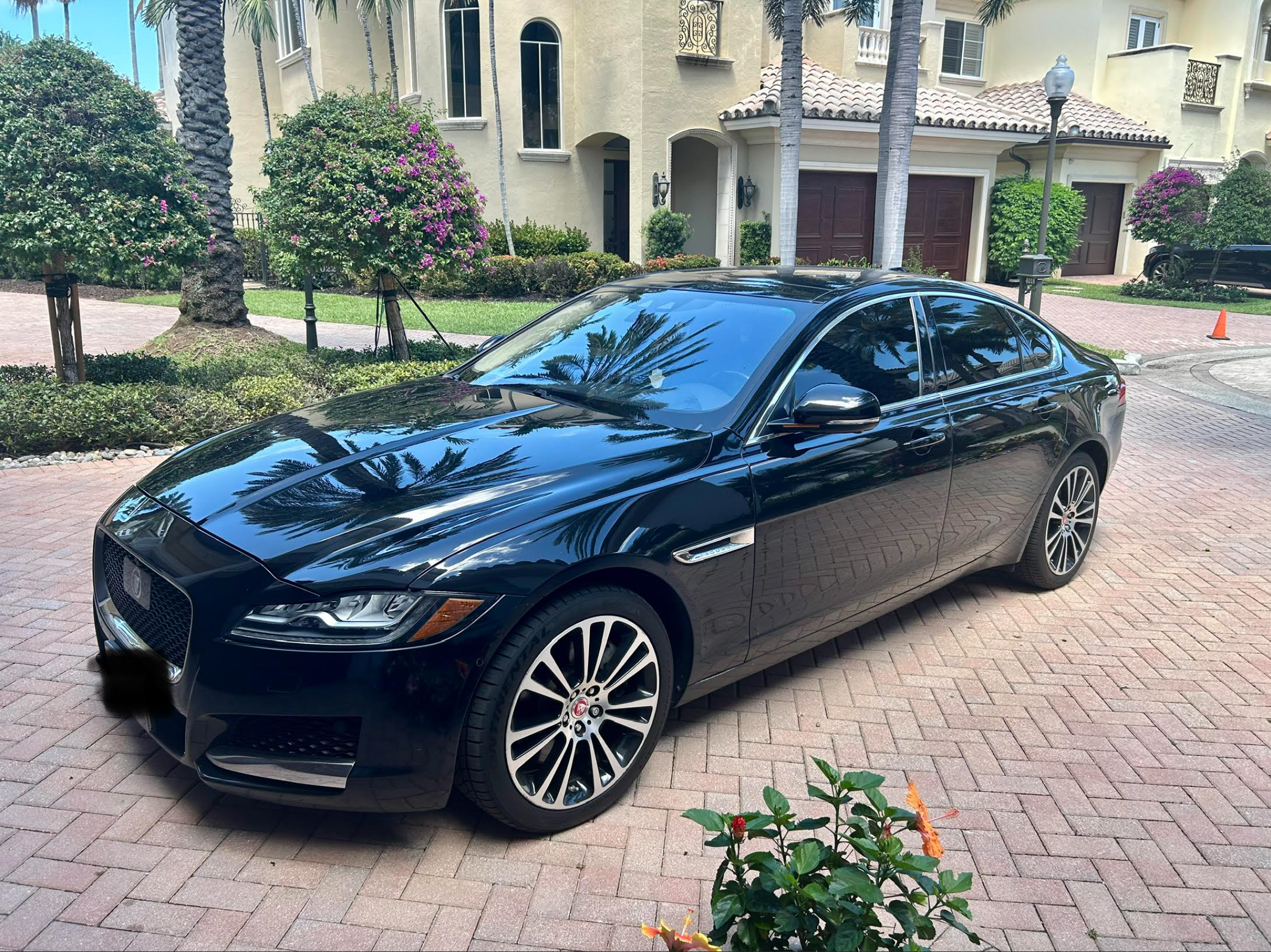 2018 xf black.png
