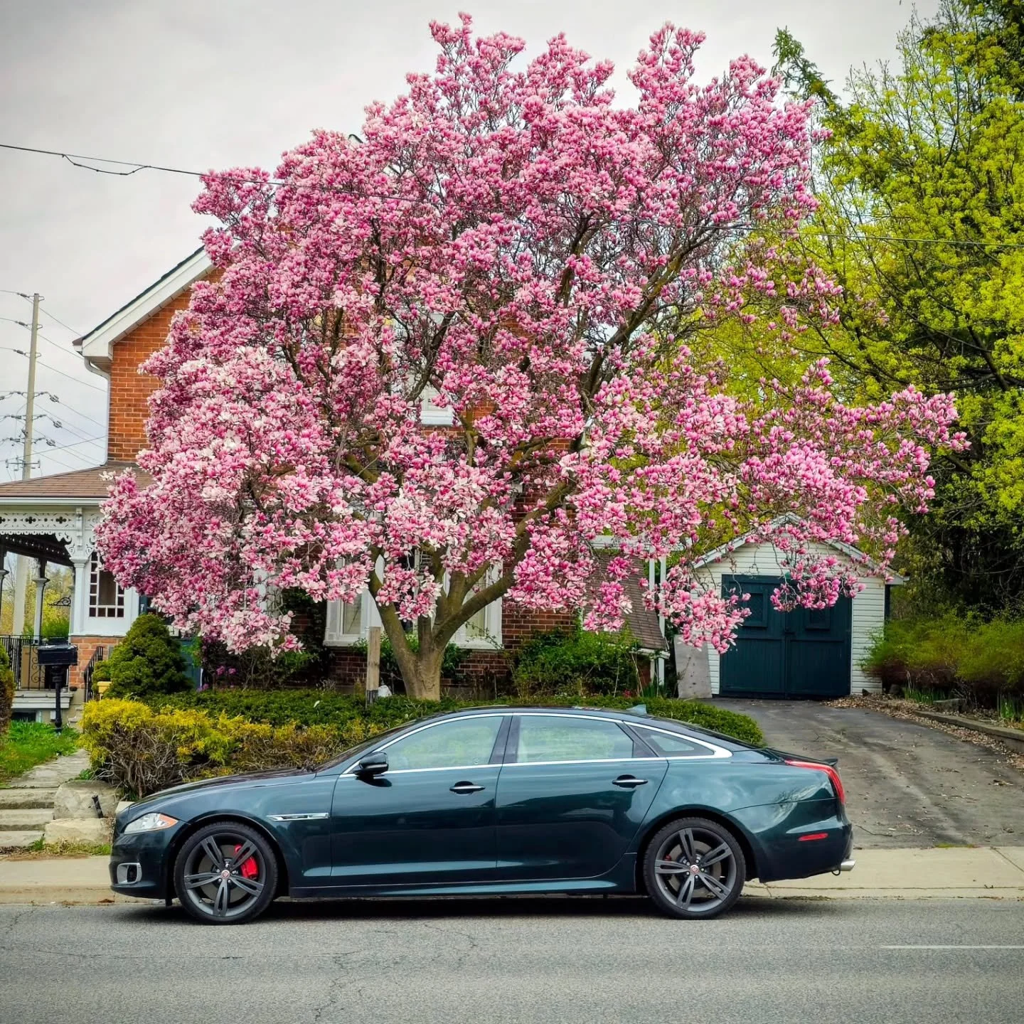 It's Spring time! Start your engines! Come join the @ojoacarclub and take part in a host of events celebrating Jaguar automobiles!