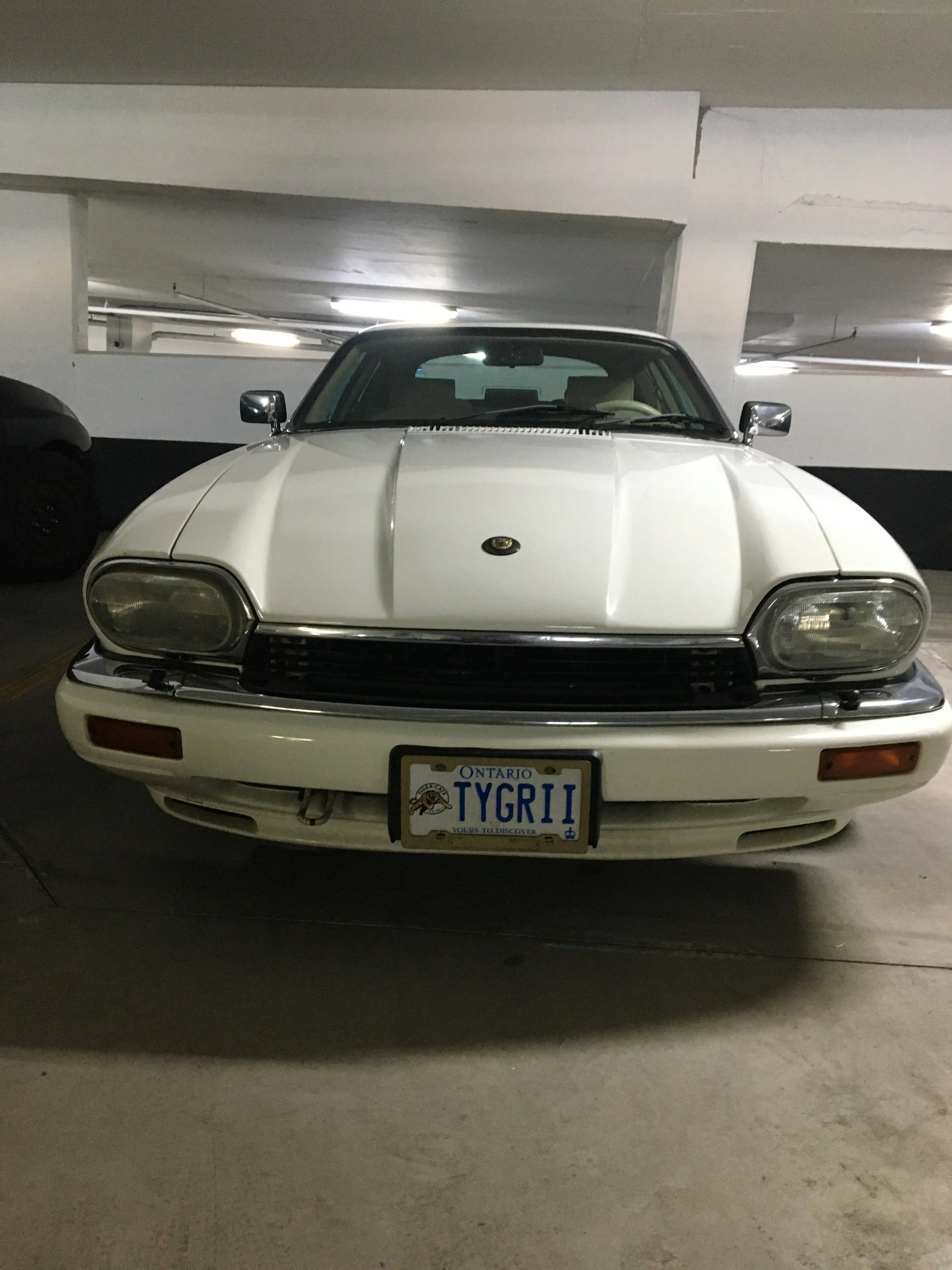 IMG_6178.jpeg