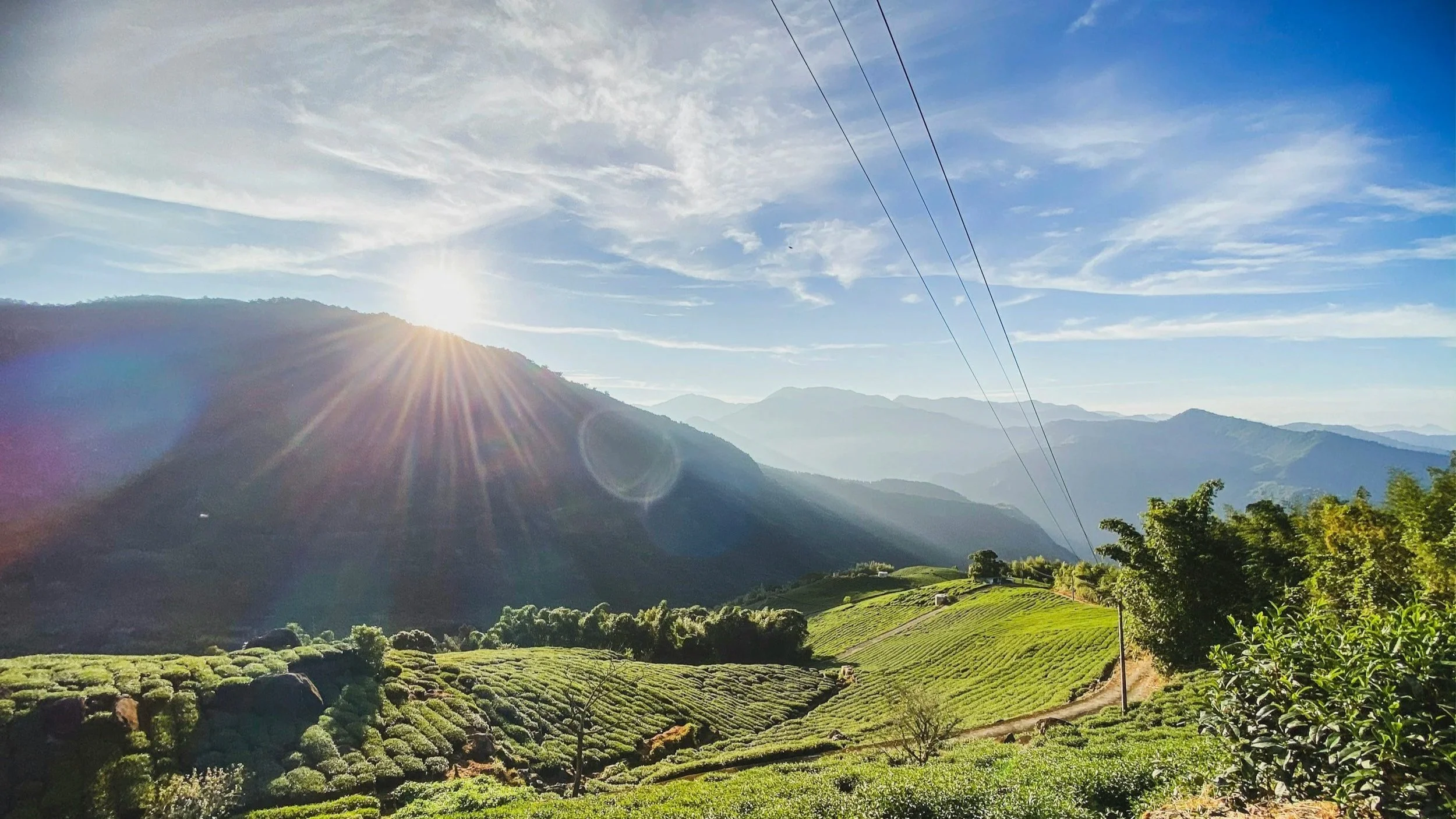 Sunrise over a mountain landscape with rolling hills, lush green tea plantations, trees, and power lines under a partly cloudy sky.