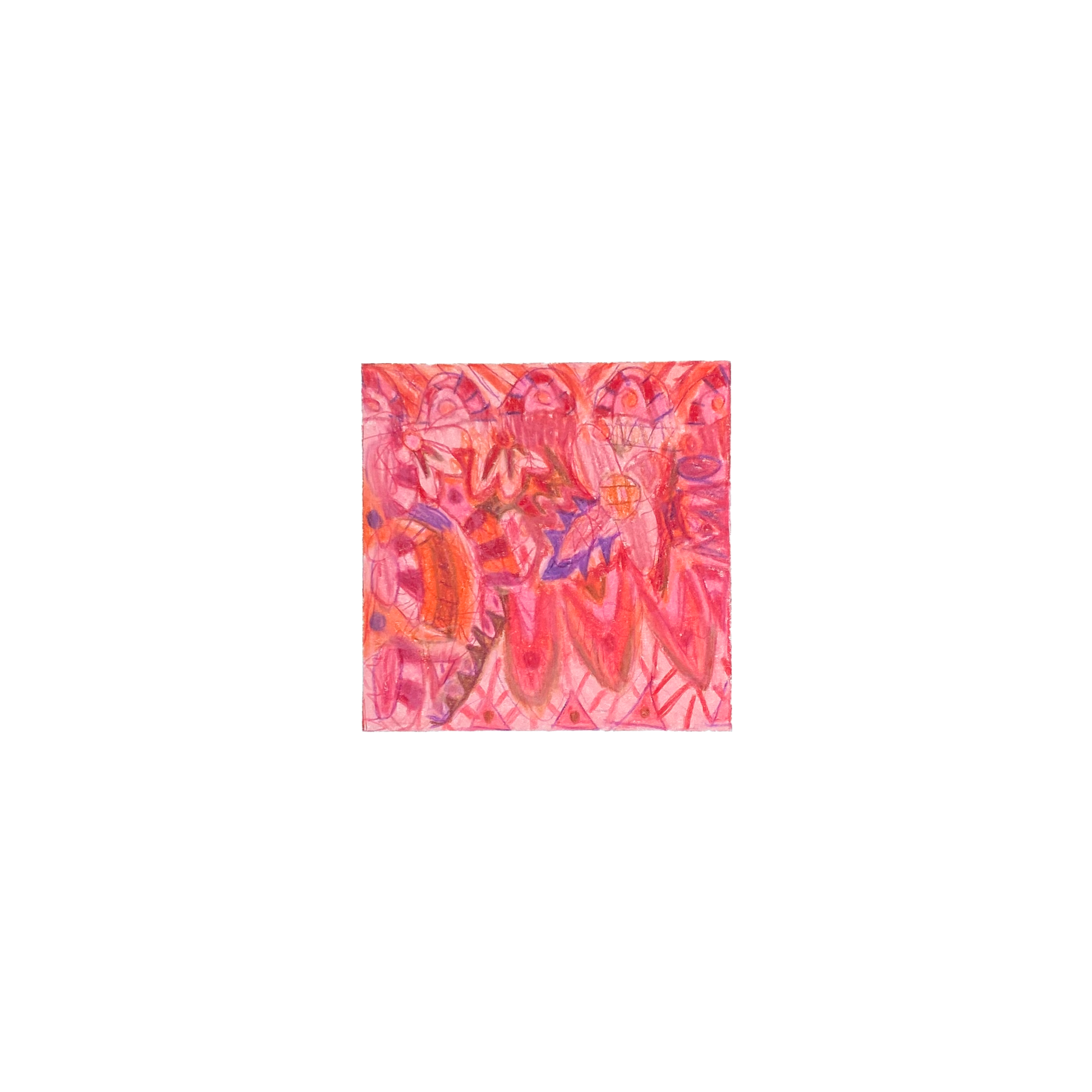 sachia-bailey-11-canva.png