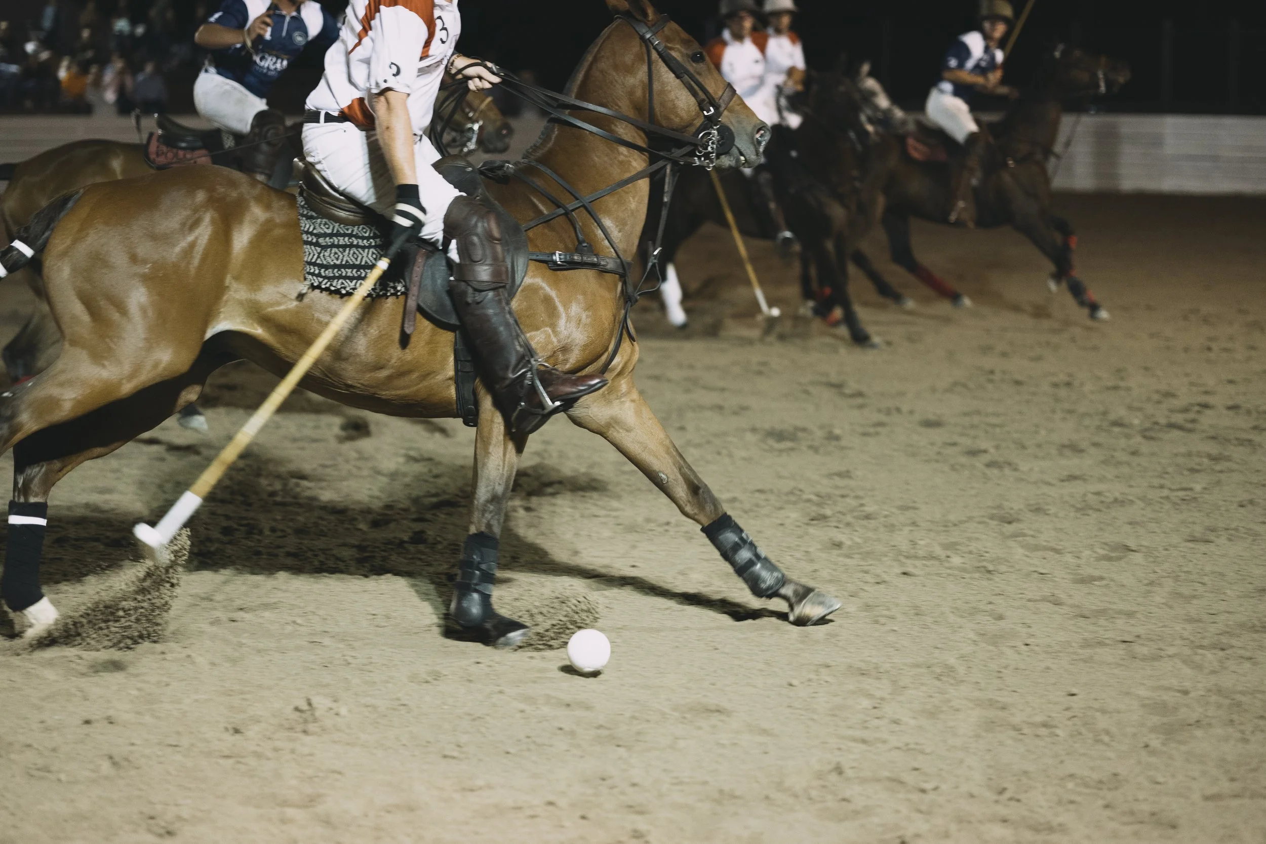 Book Header Portfolio-3.jpg