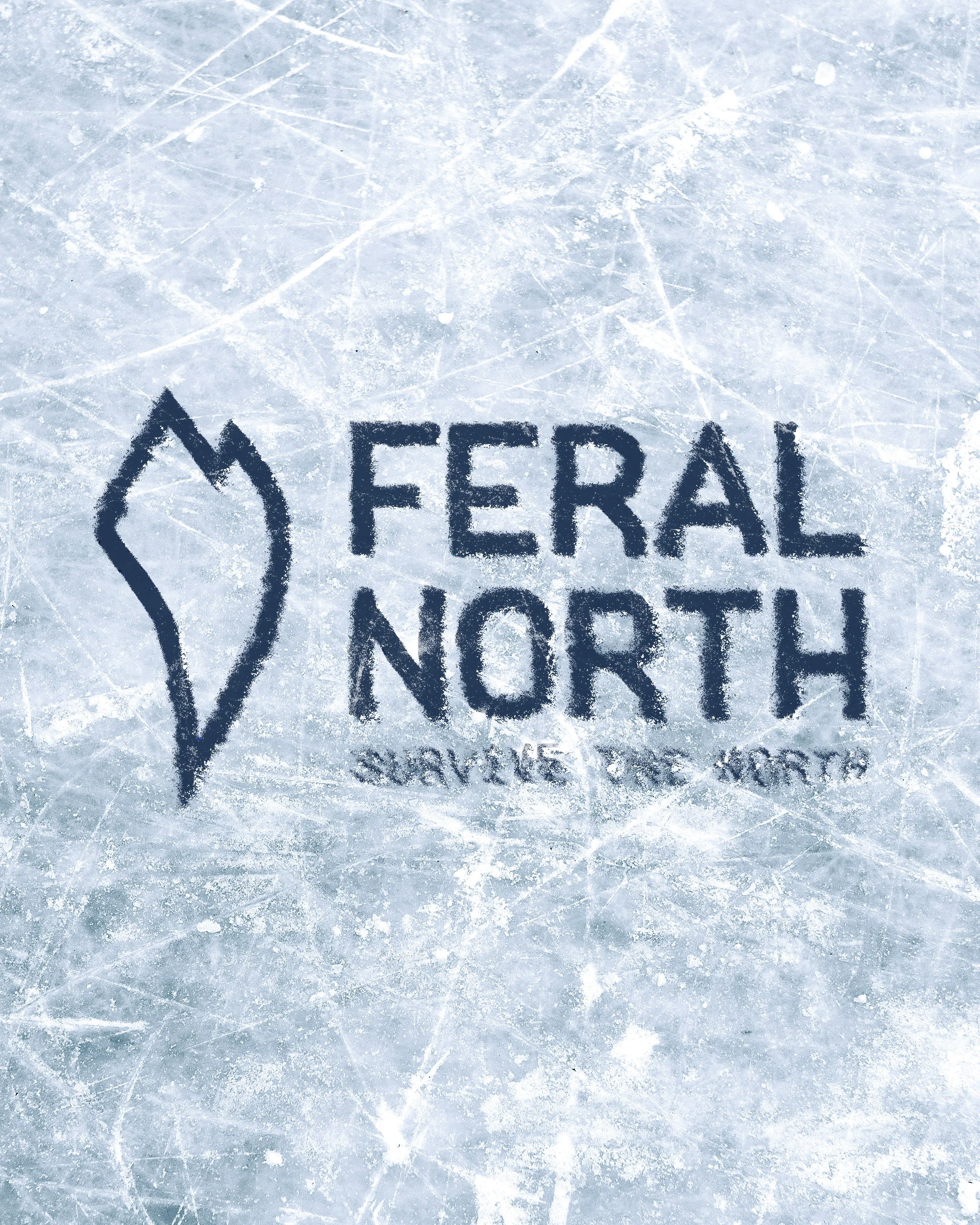 FN ICE.jpg
