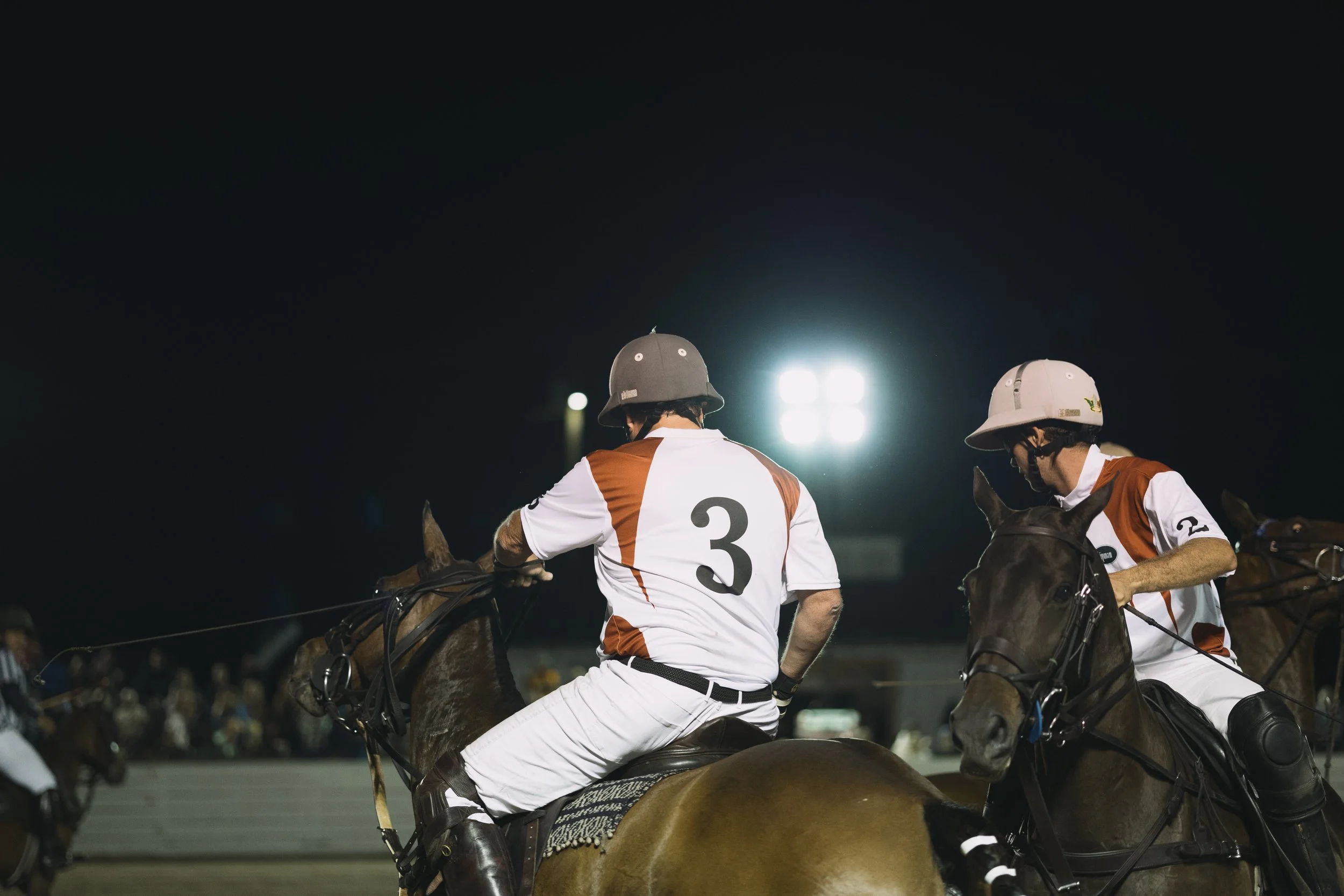 Book Header Portfolio-2.jpg