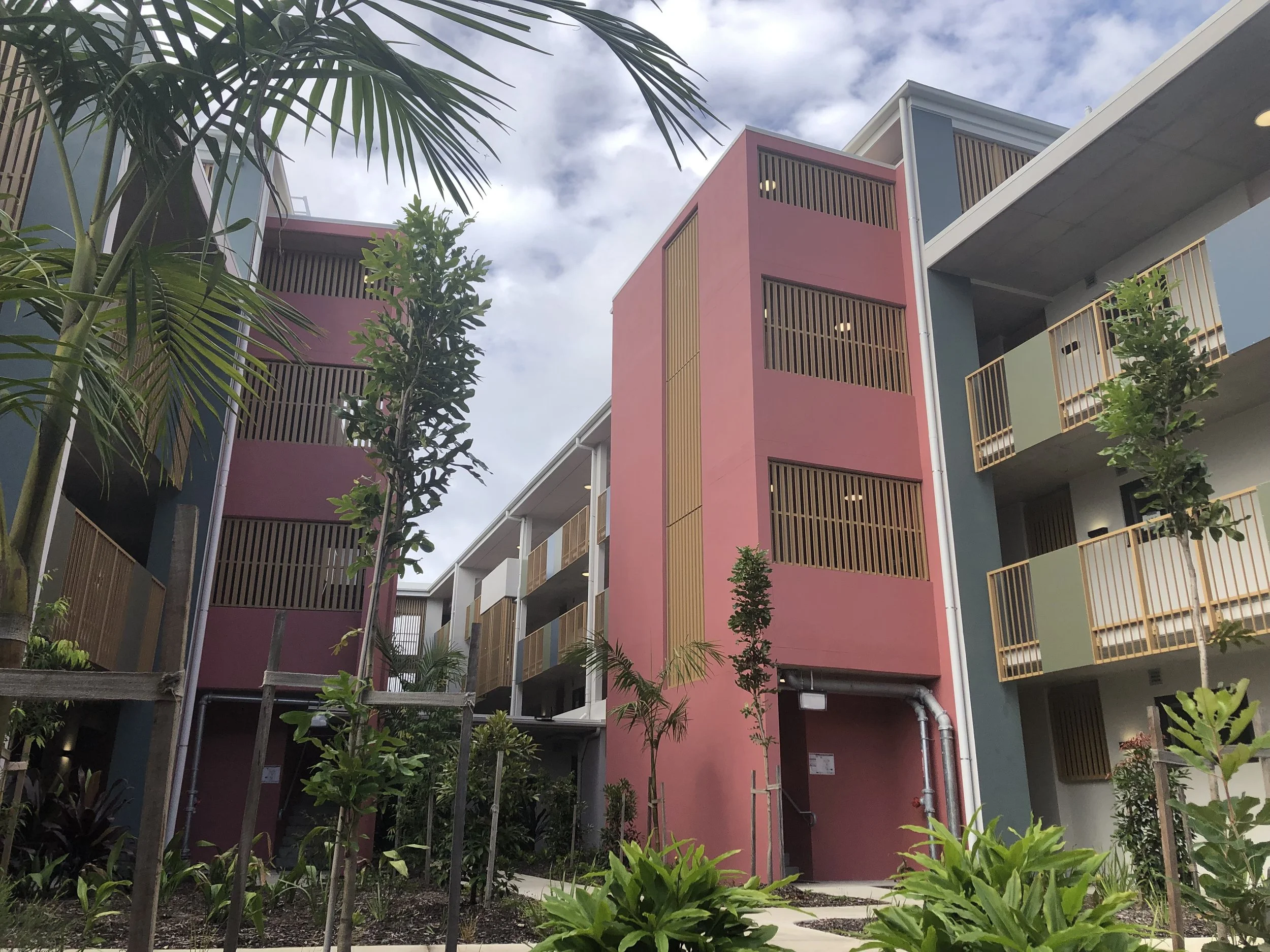 IMG_2517.JPG