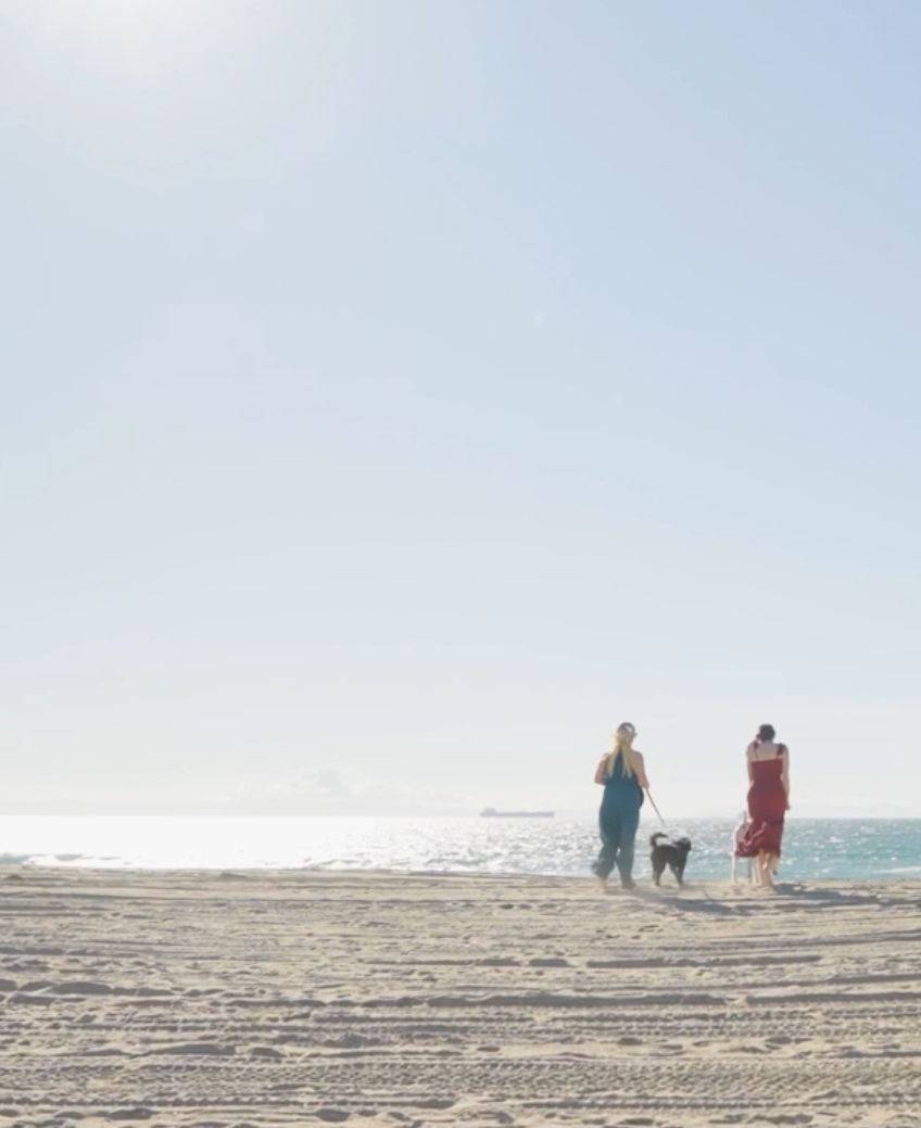 Screenshot 2026-01-30 090444.png