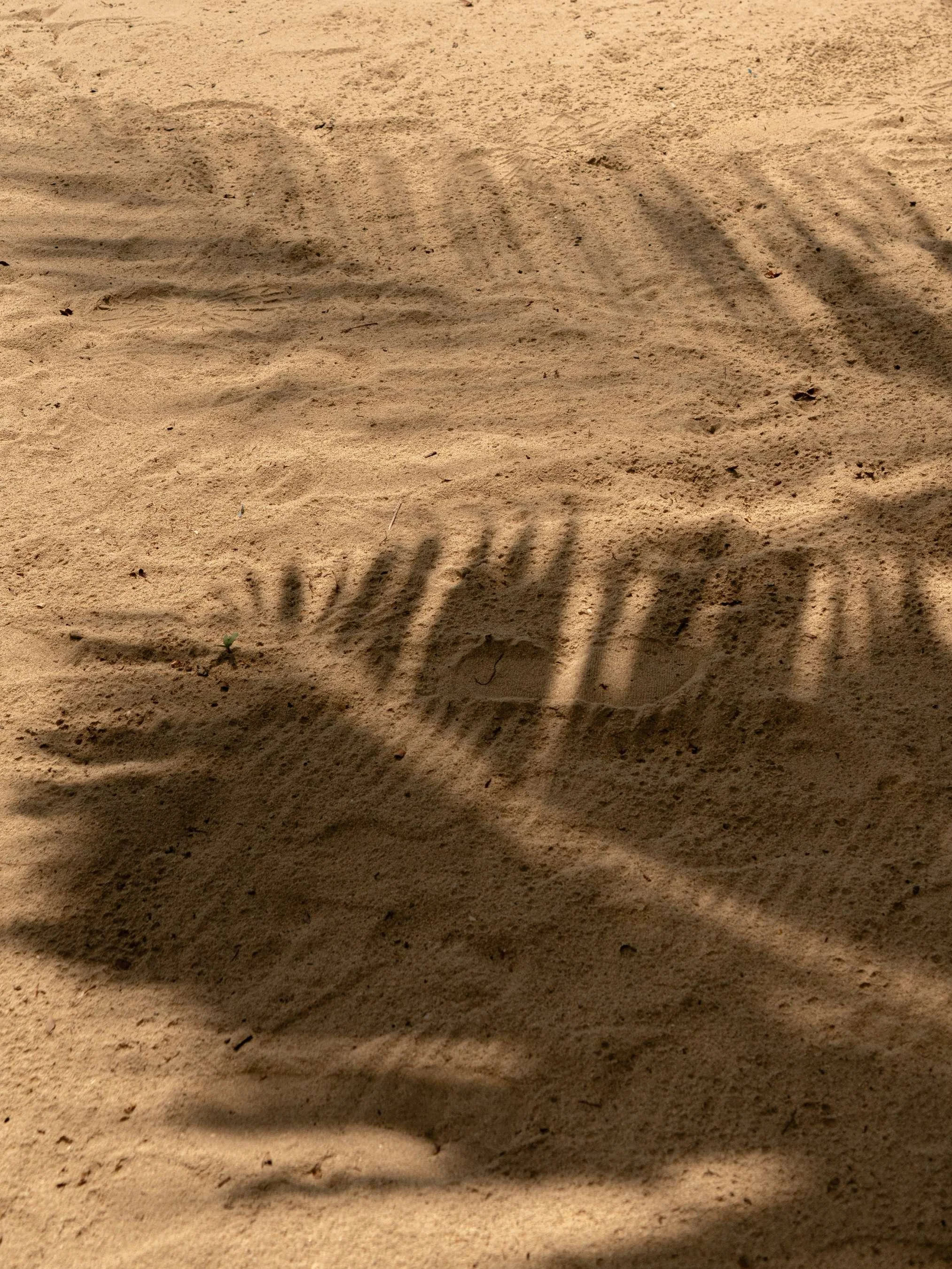 Landscape photography, Island Beach, Sunset at Lio Beach in El Nido, Philippines 