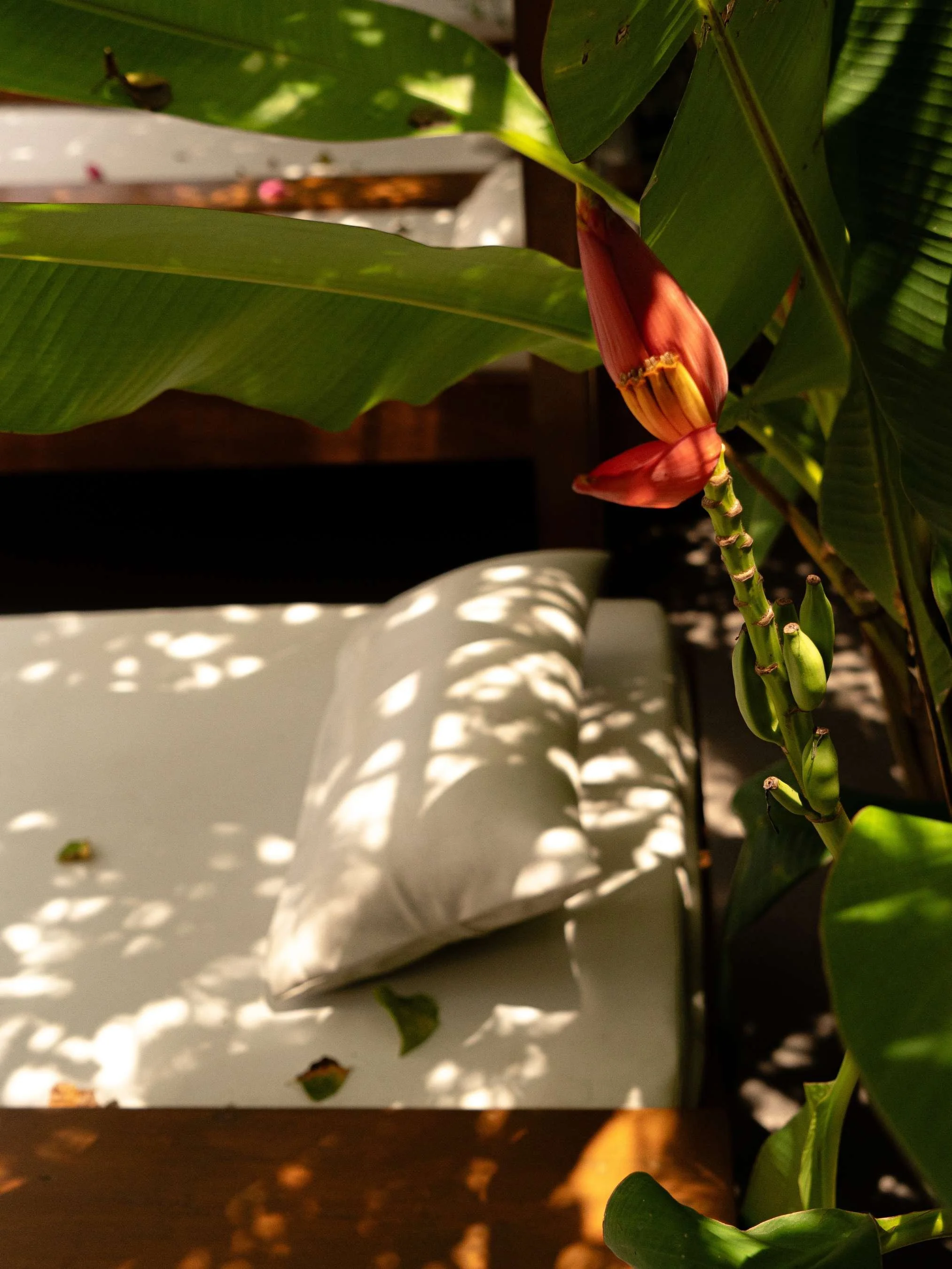 Resort Photography by the pool at Anista Resort in El Nido, Philippines 