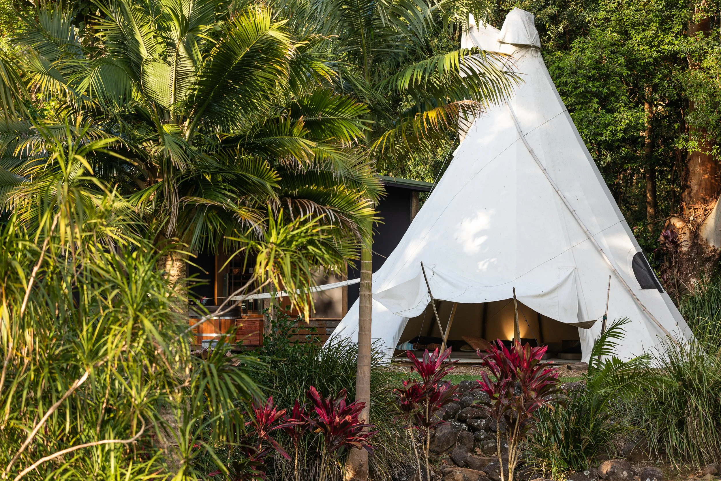 A white teepee tent set up in a lush jungle with green palm trees and red-leafed plants surrounding it.