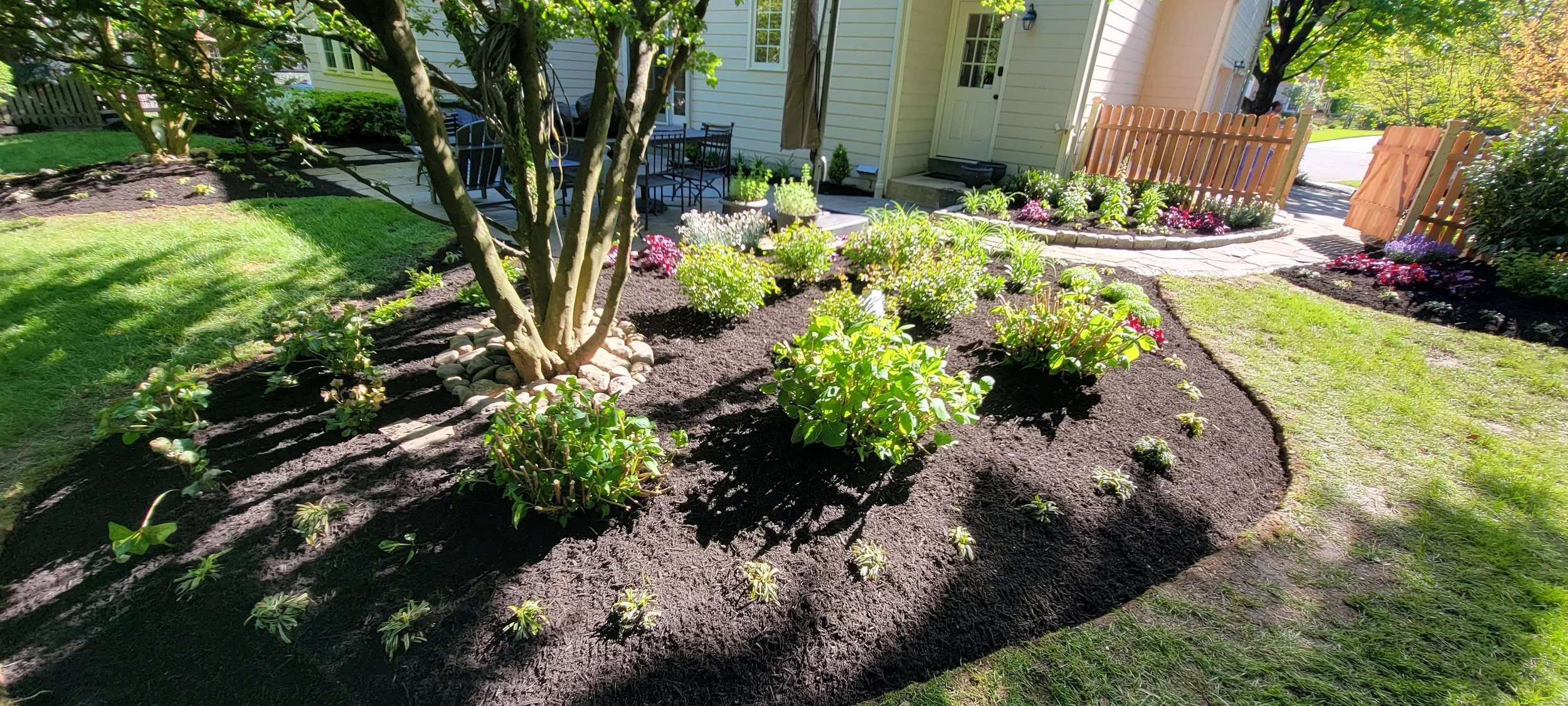 Landscape Design, Landscaping, Bushes, Plants