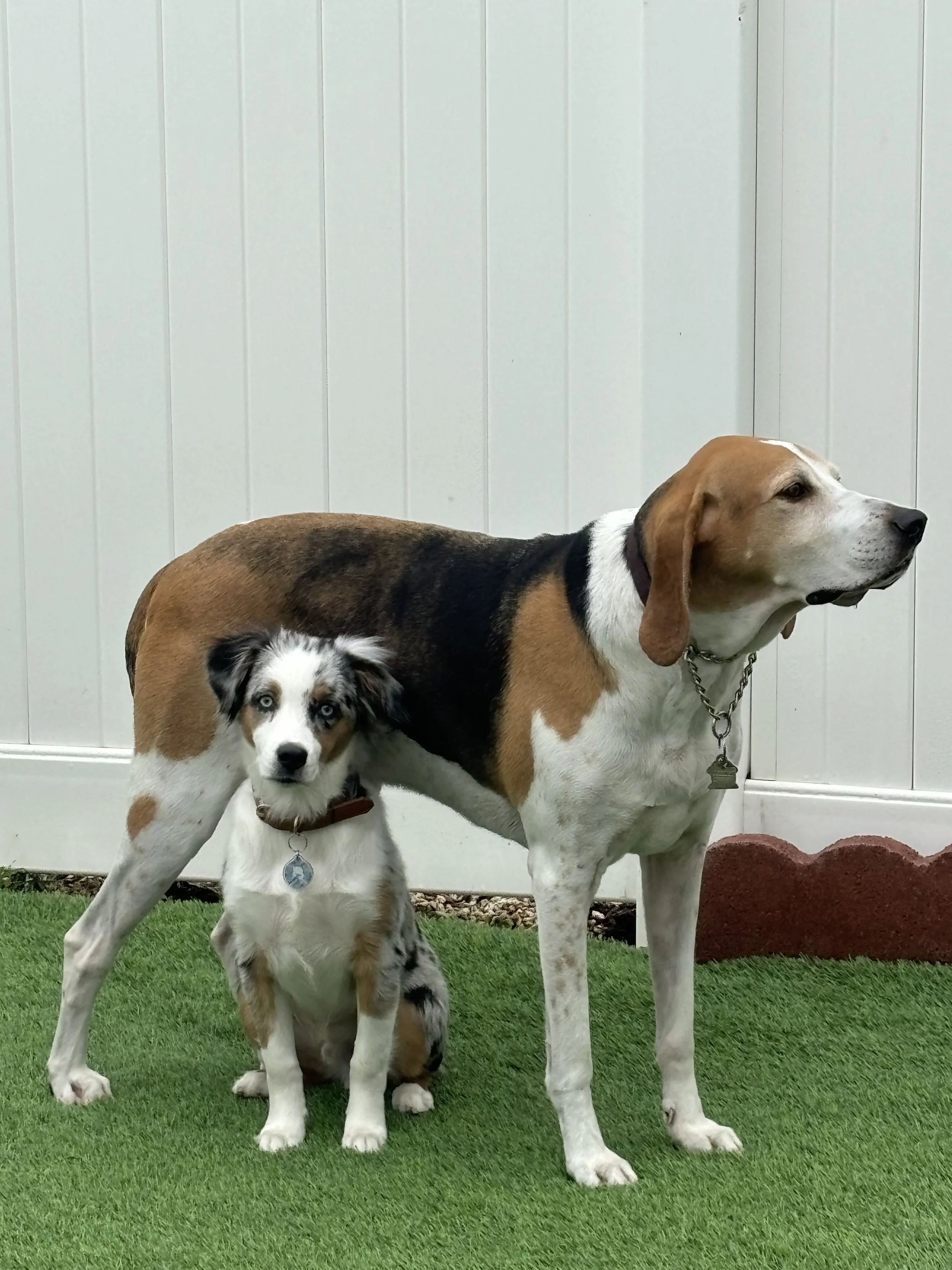 IMG_1822.jpg