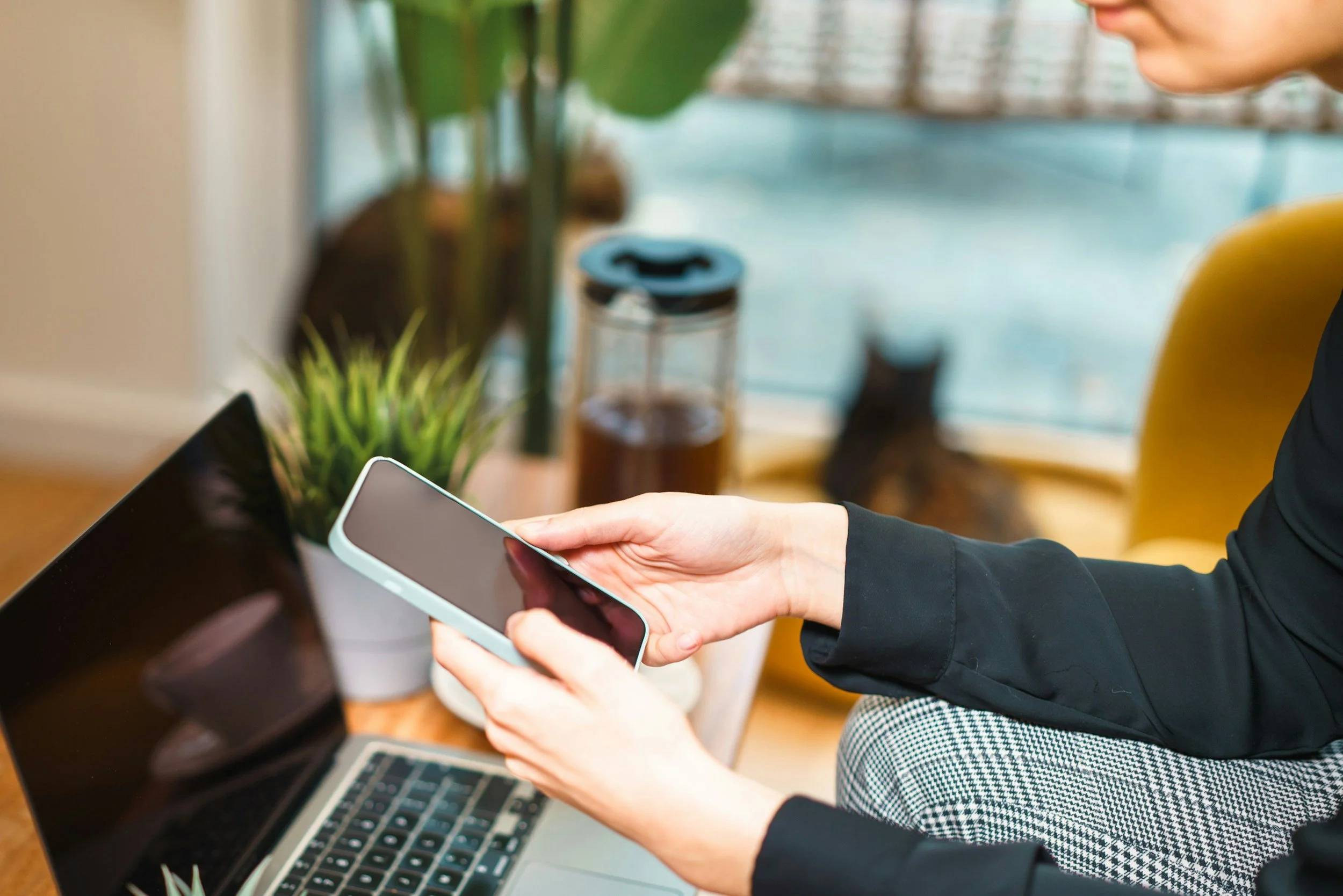 Person holding a smartphone with a laptop on a table next to a houseplant, with a window and a cat blurred in the background.