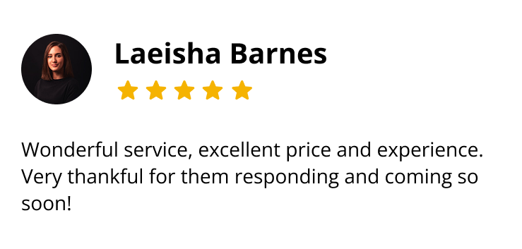 Close-up of a customer review for Laeisha Barnes, showing her profile picture, name, five-star rating, and positive feedback.
