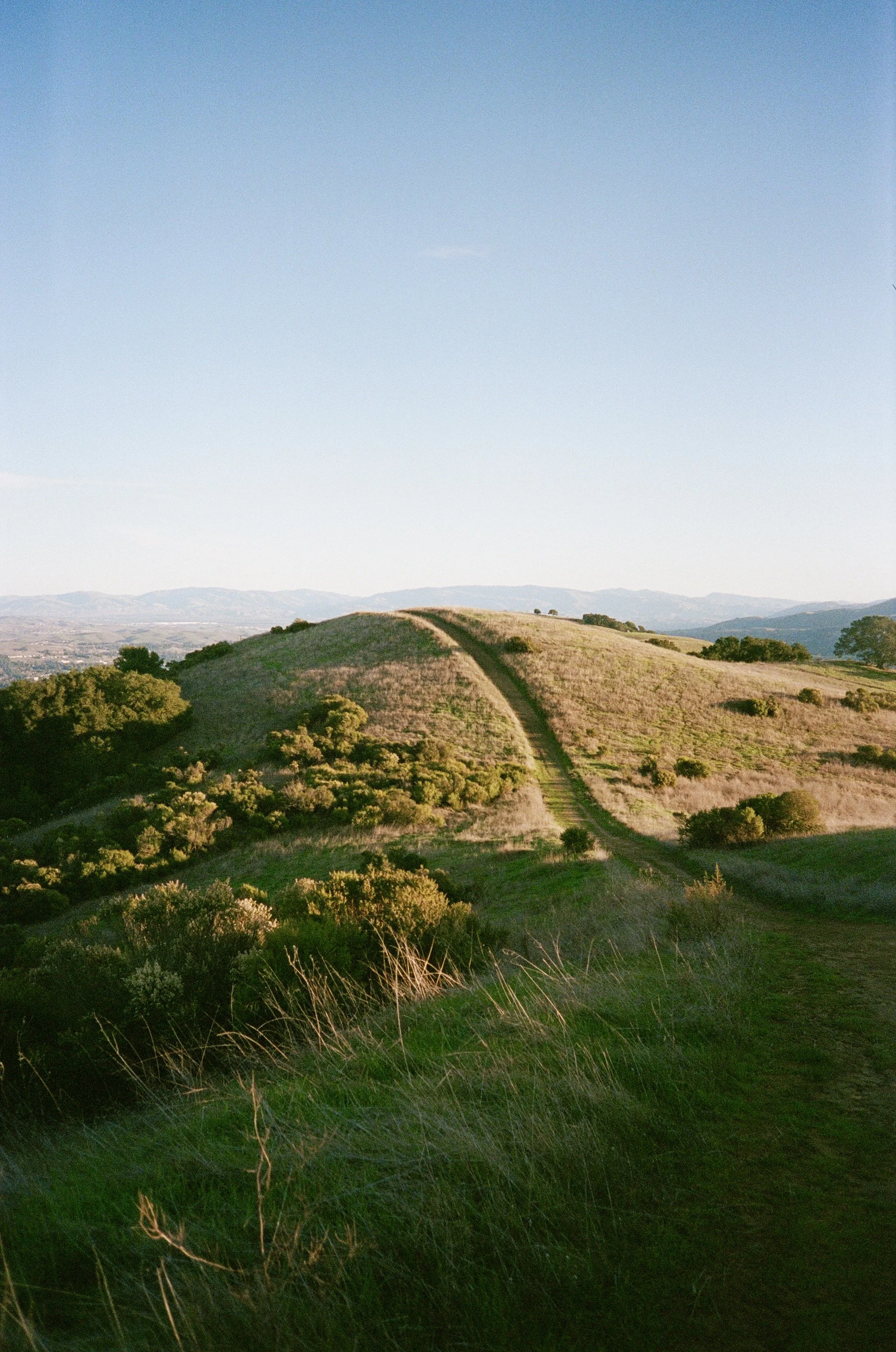 Golden Hour, Danville