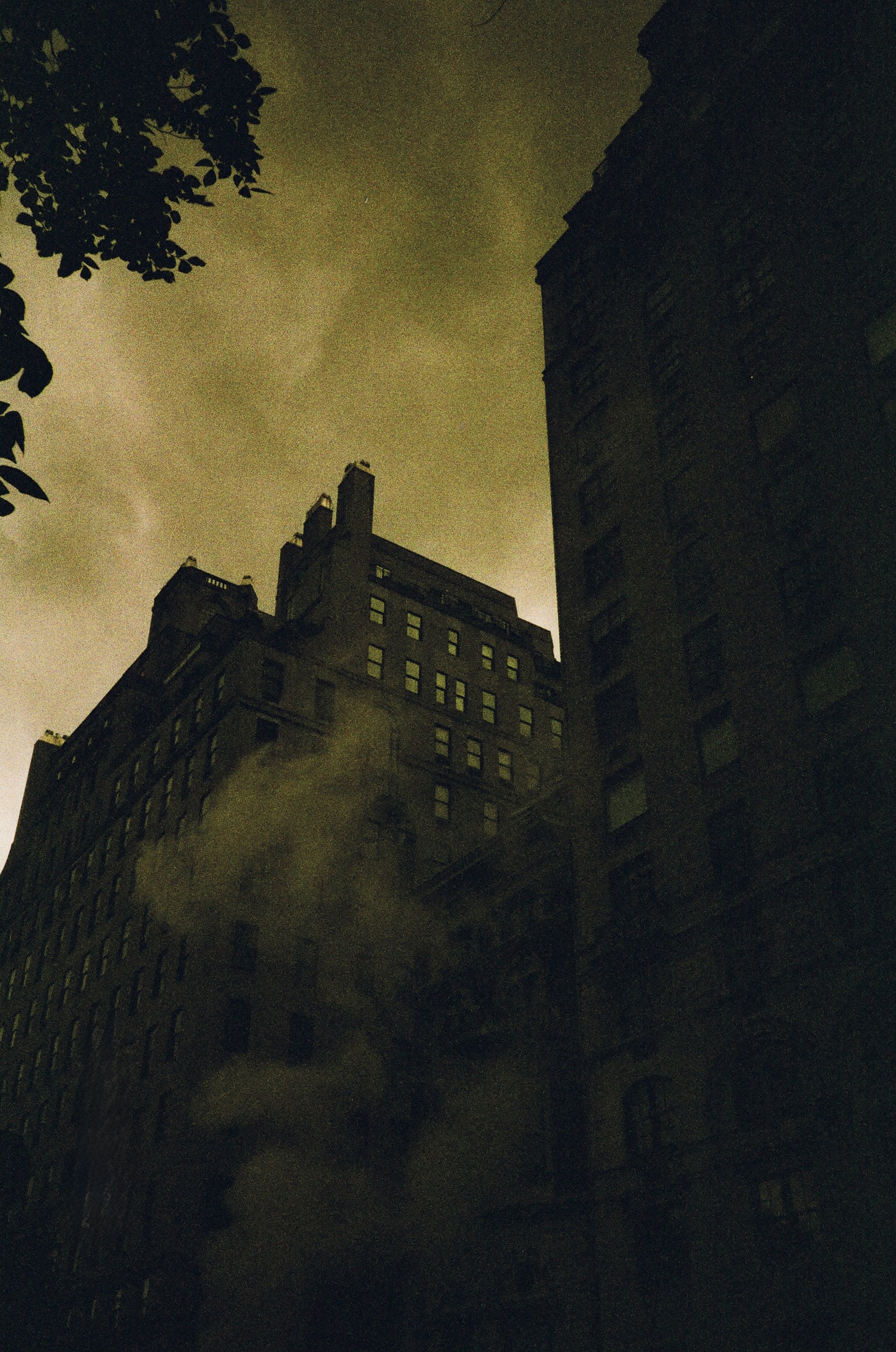 Steam, NYC
