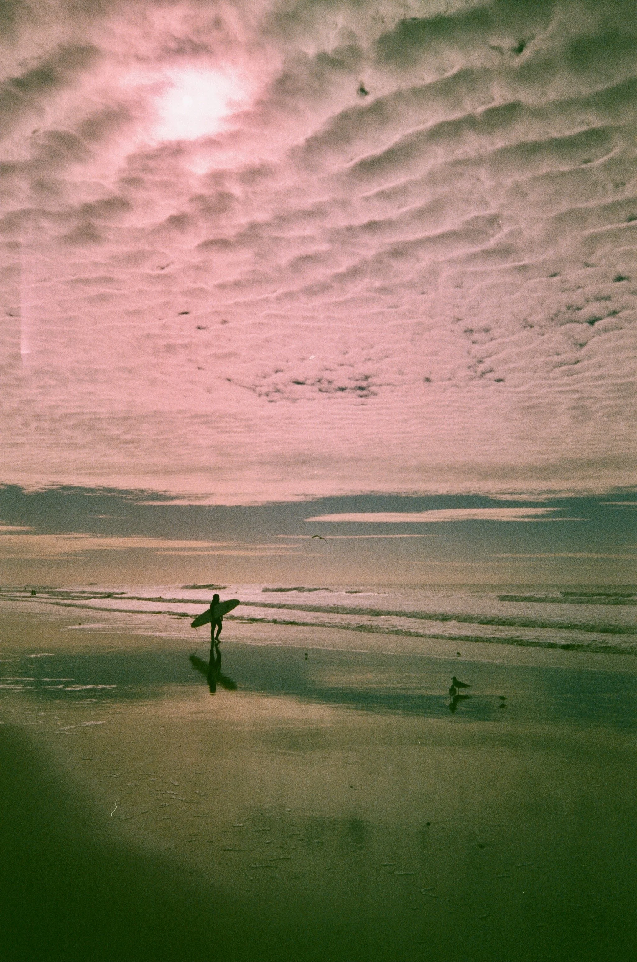 Expired Film, San Francisco